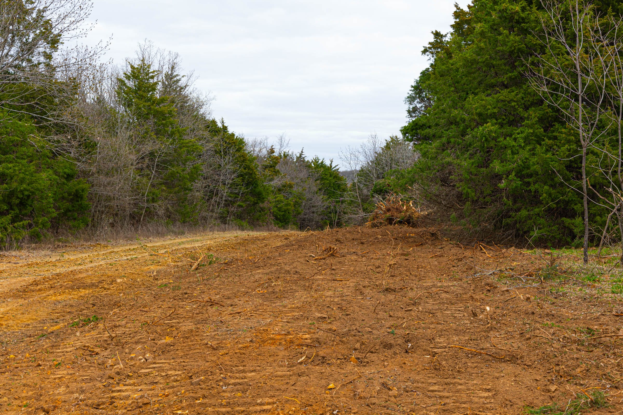 Reserves At Cattail Cove Phase I Tract 26 photo 9