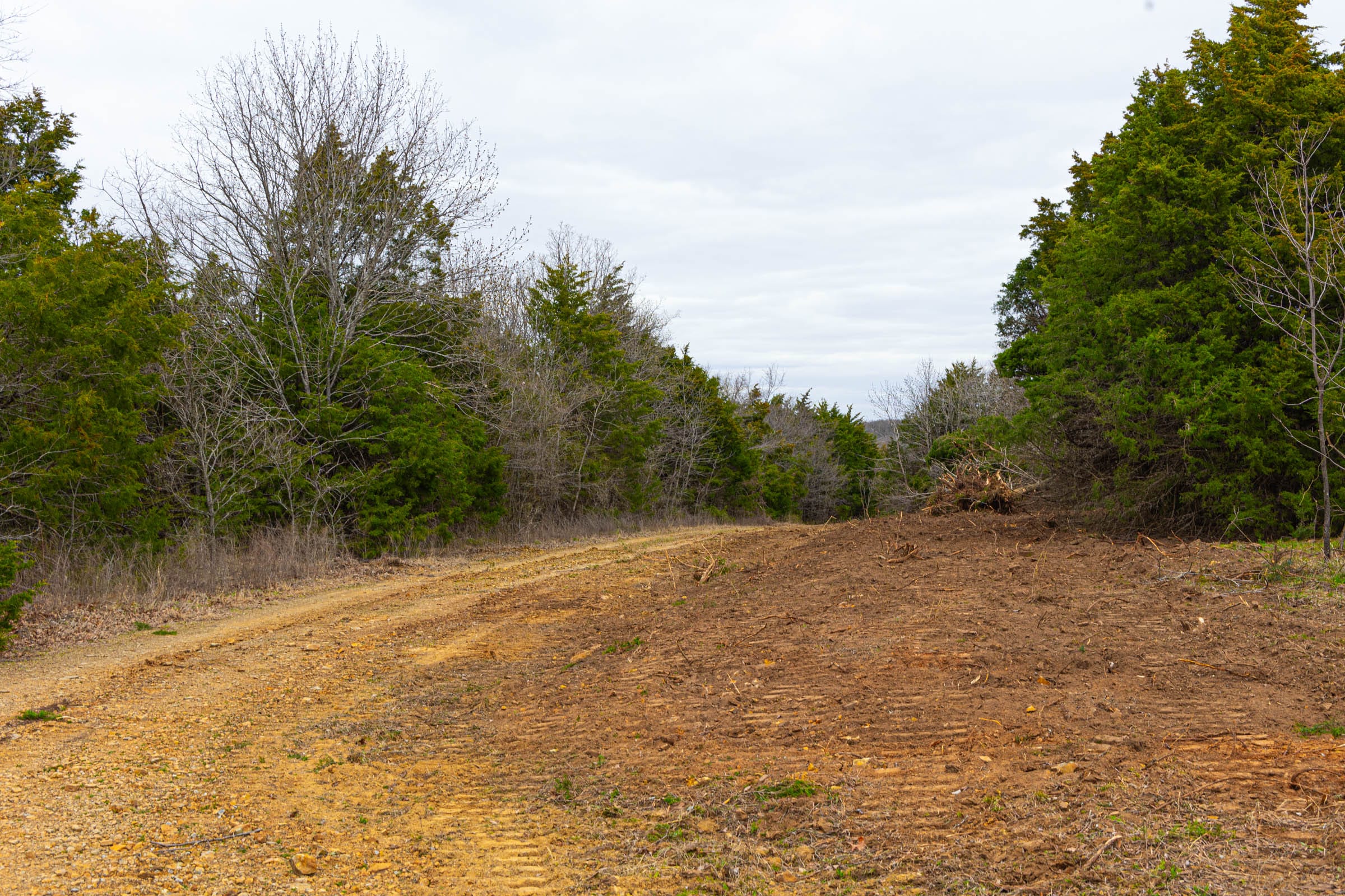 Reserves At Cattail Cove Phase I Tract 26 photo 4