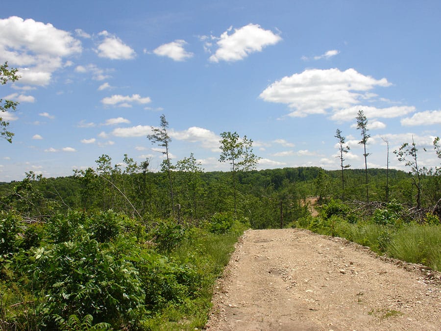 Antler Ridge Tract 11 photo 3
