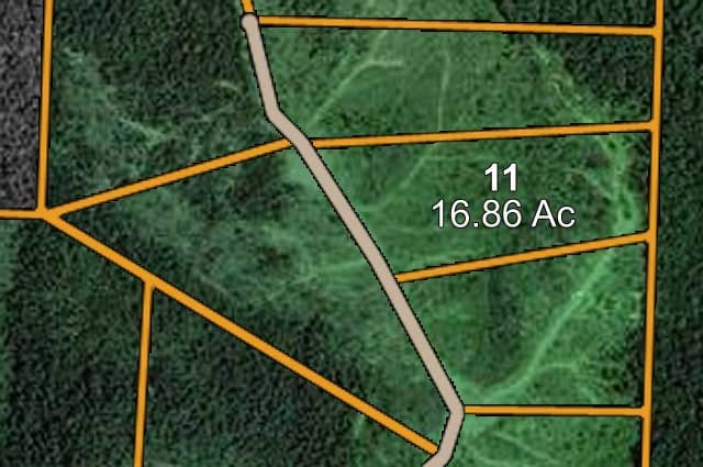 Antler Ridge Tract 11 photo 8
