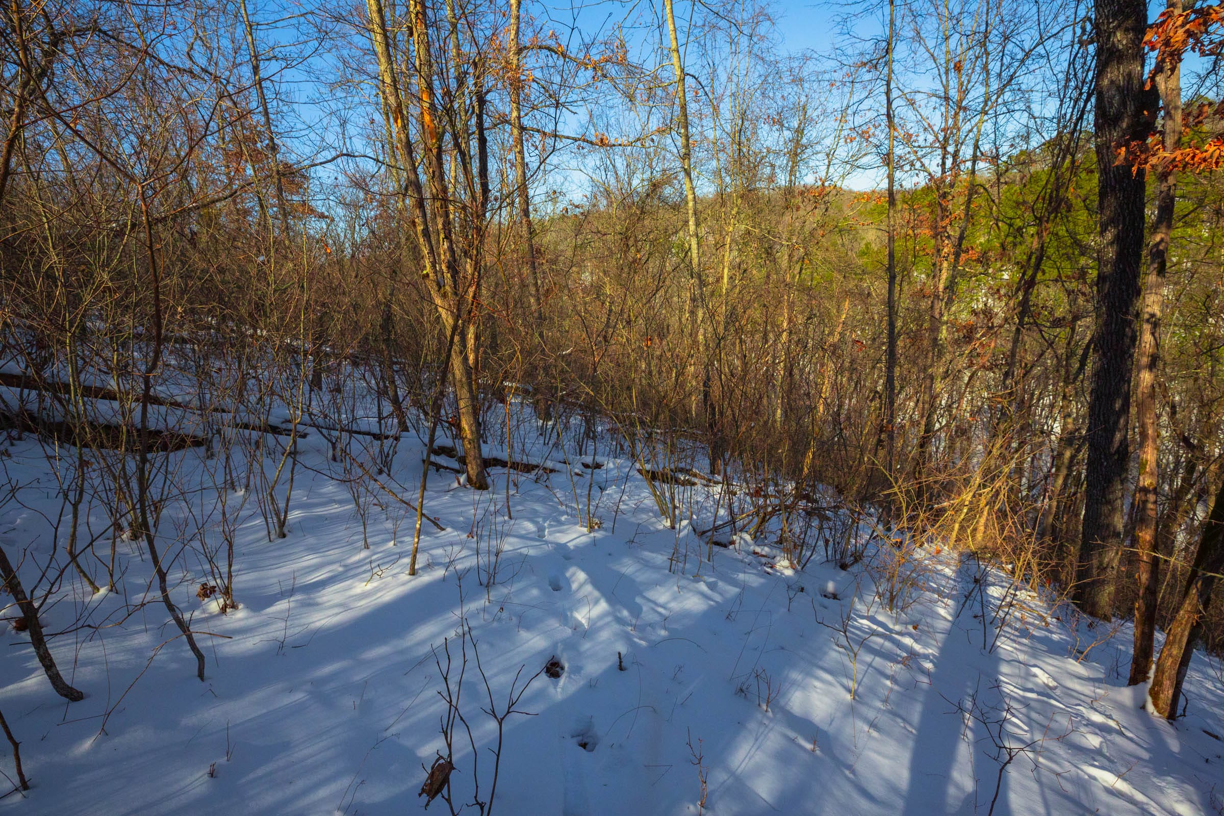 Sleepy Hollow Phase I Tract 19 photo 15