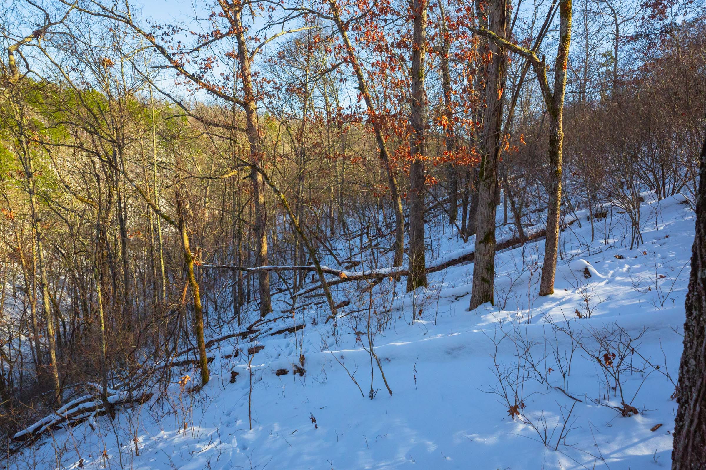 Sleepy Hollow Phase I Tract 19 photo 24