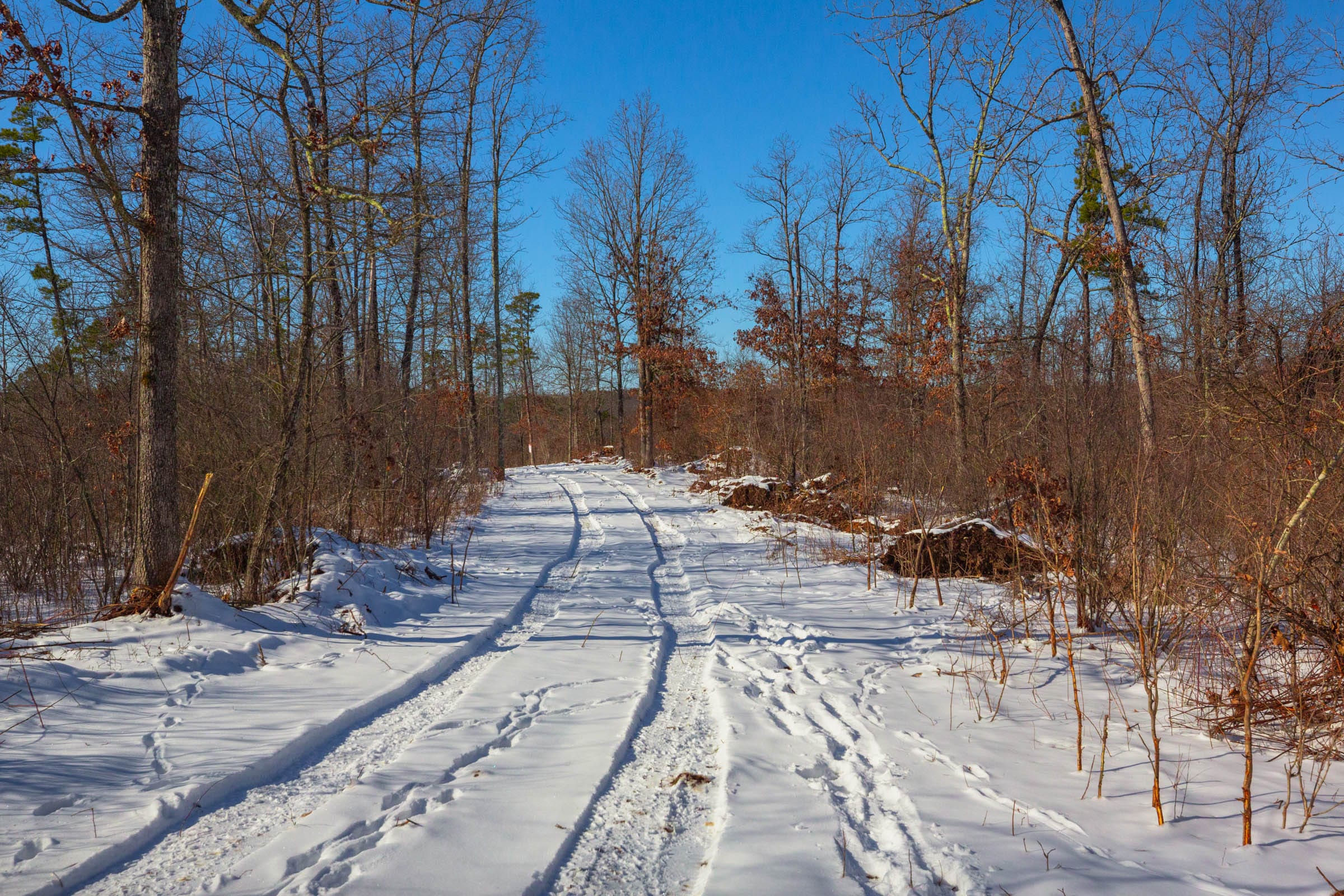 Sleepy Hollow Phase I Tract 19 photo 8