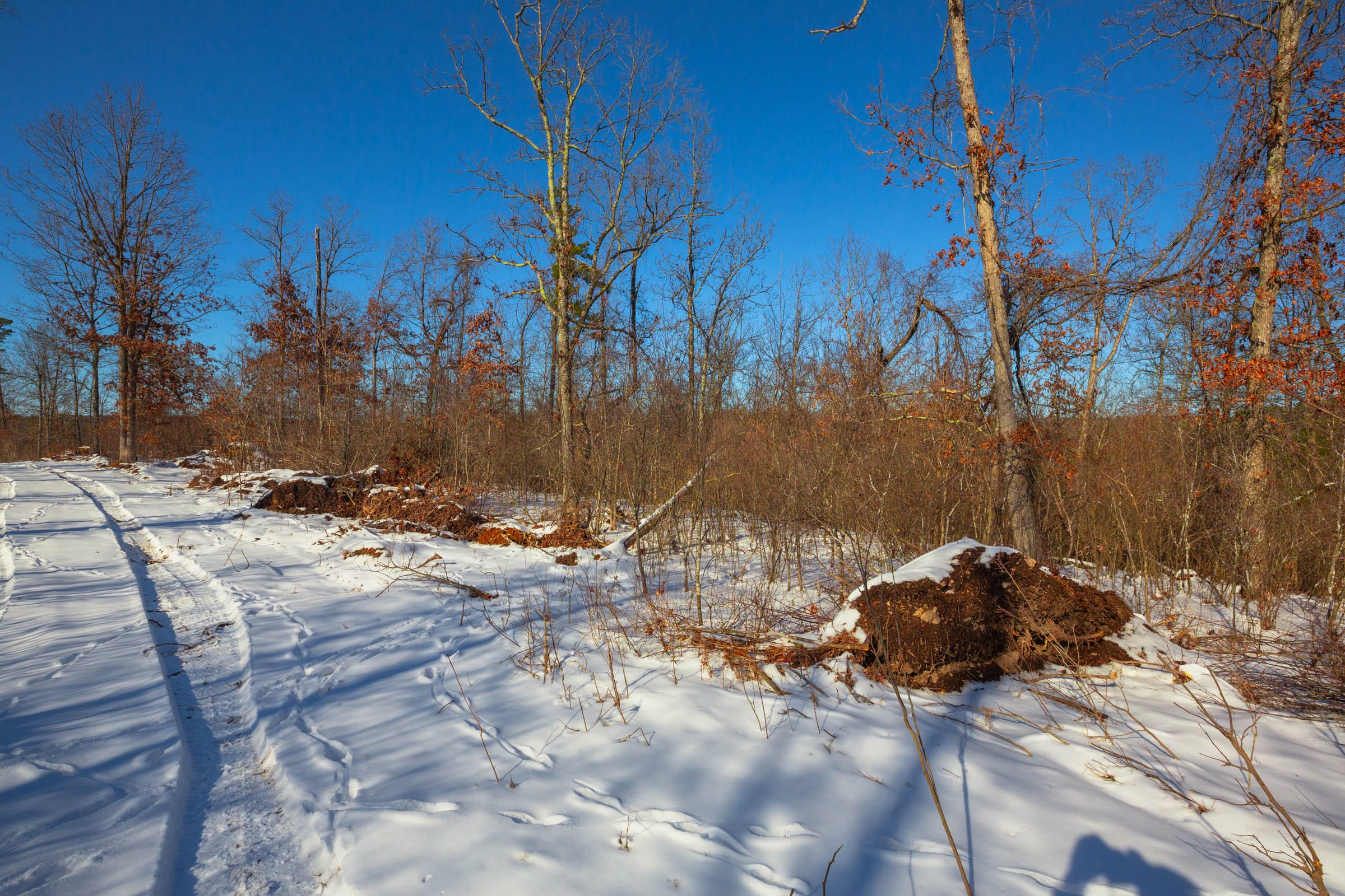 Sleepy Hollow Phase I Tract 19 photo 22
