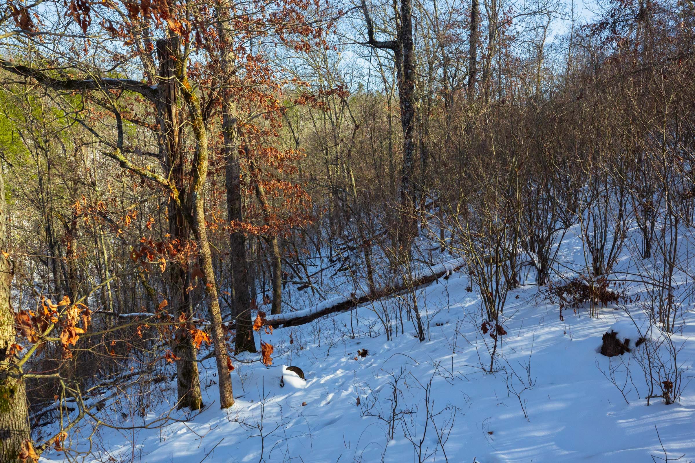 Sleepy Hollow Phase I Tract 19 photo 21