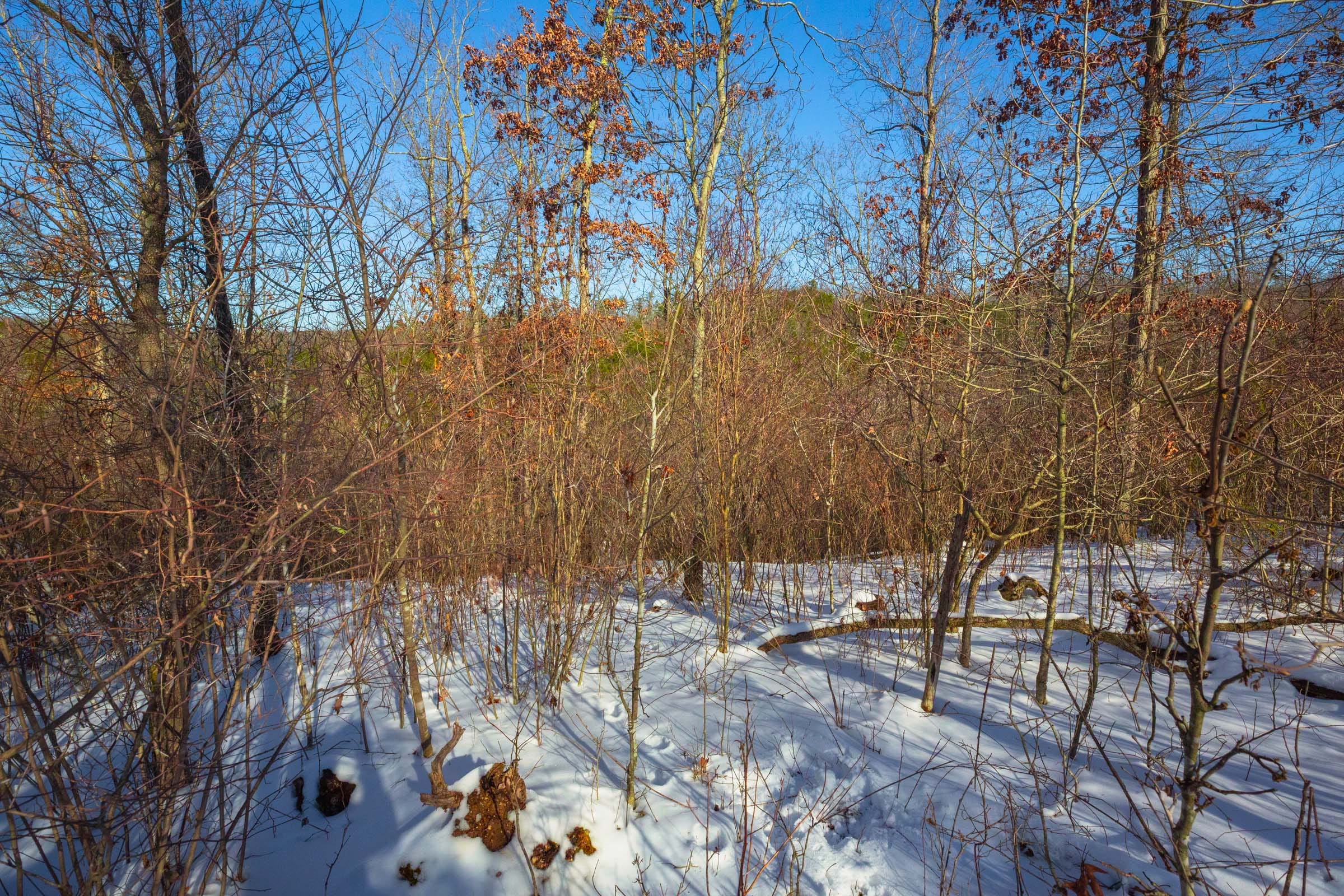 Sleepy Hollow Phase I Tract 19 photo 19