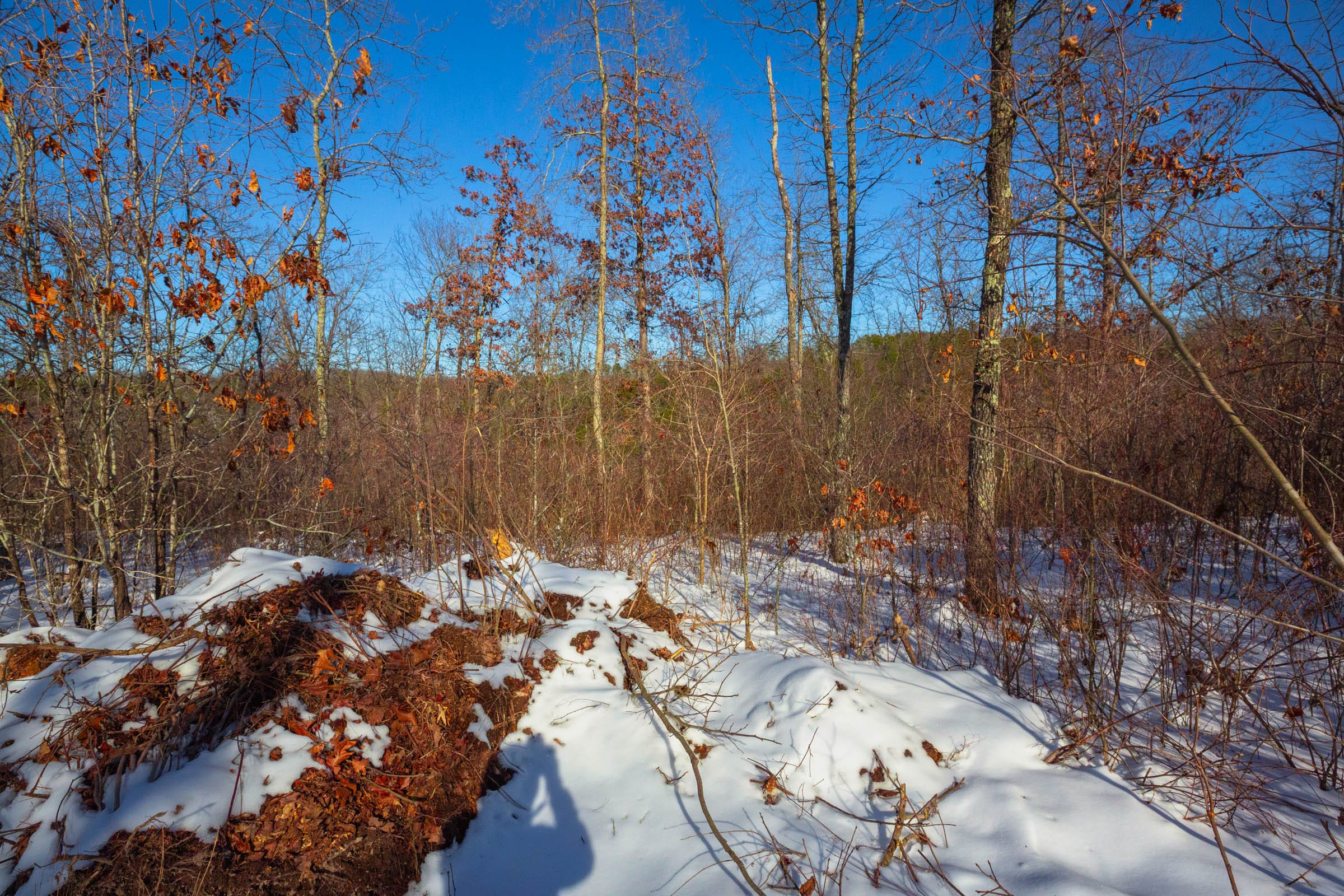 Sleepy Hollow Phase I Tract 19 photo 16