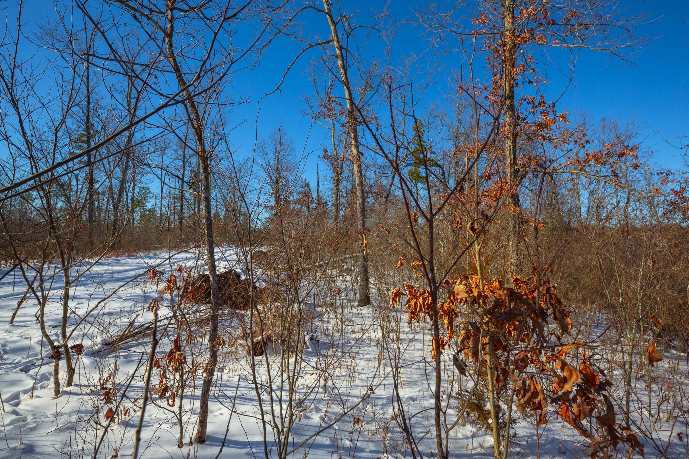Sleepy Hollow Phase I Tract 19 photo 14