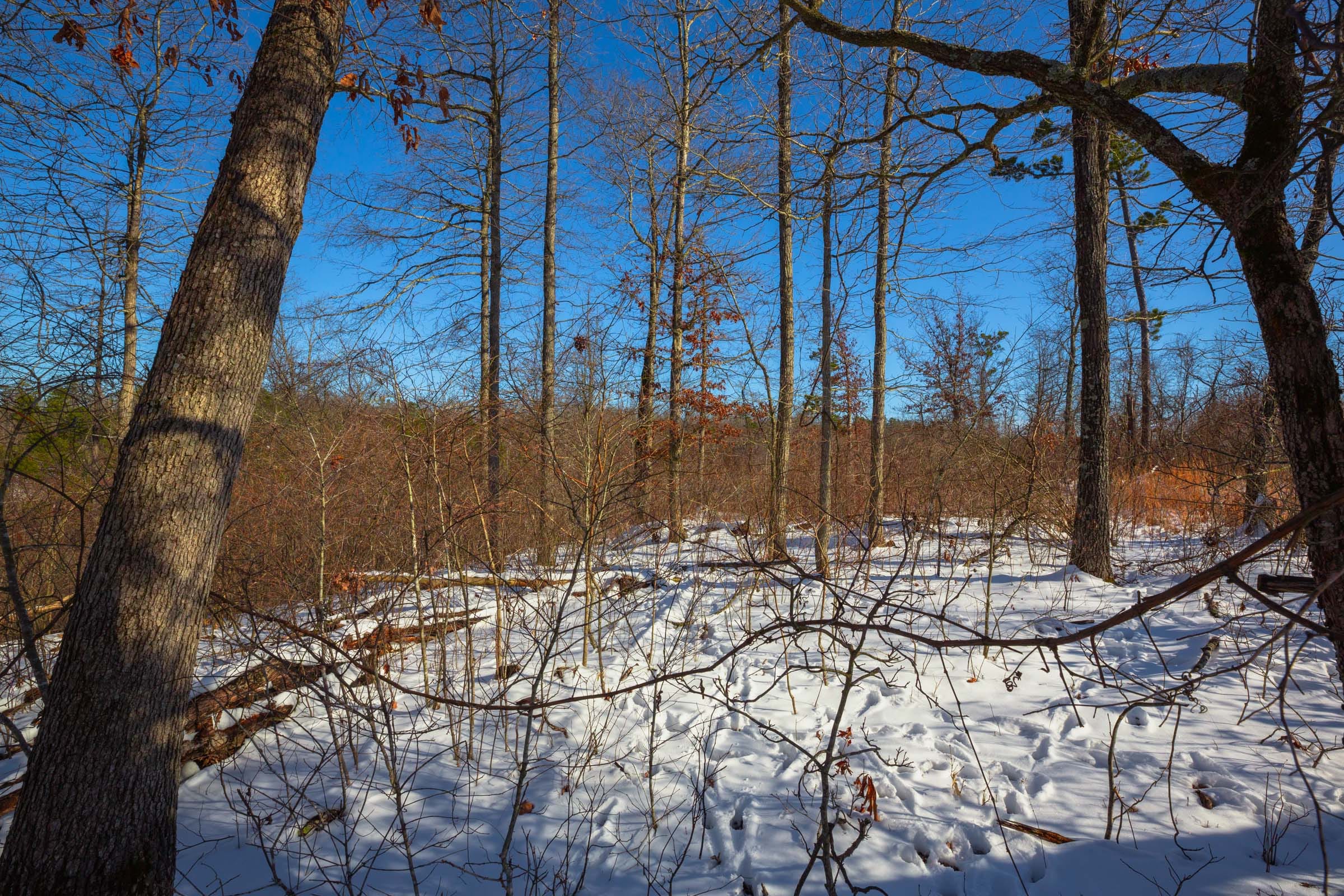 Sleepy Hollow Phase I Tract 19 photo 11