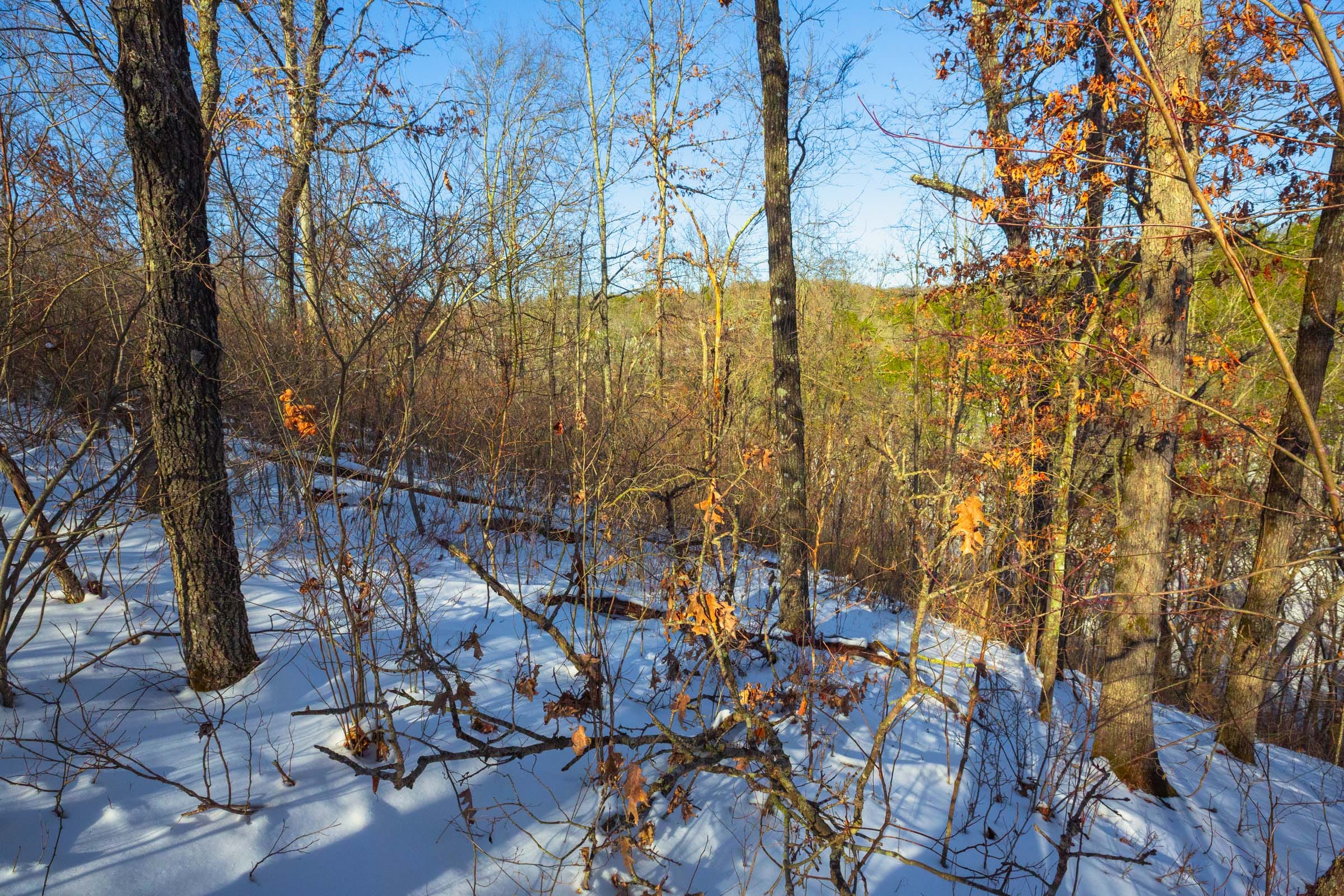 Sleepy Hollow Phase I Tract 19 photo 10