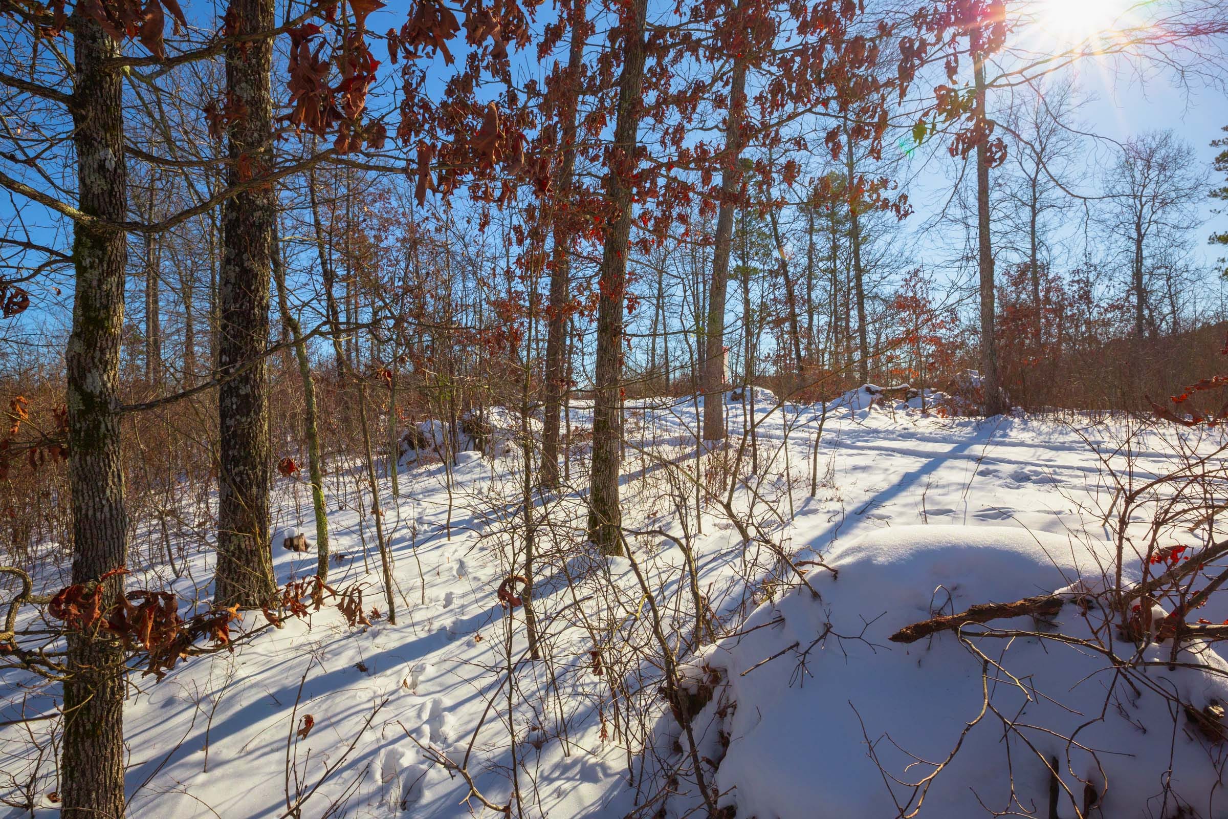 Sleepy Hollow Phase I Tract 19 photo 9