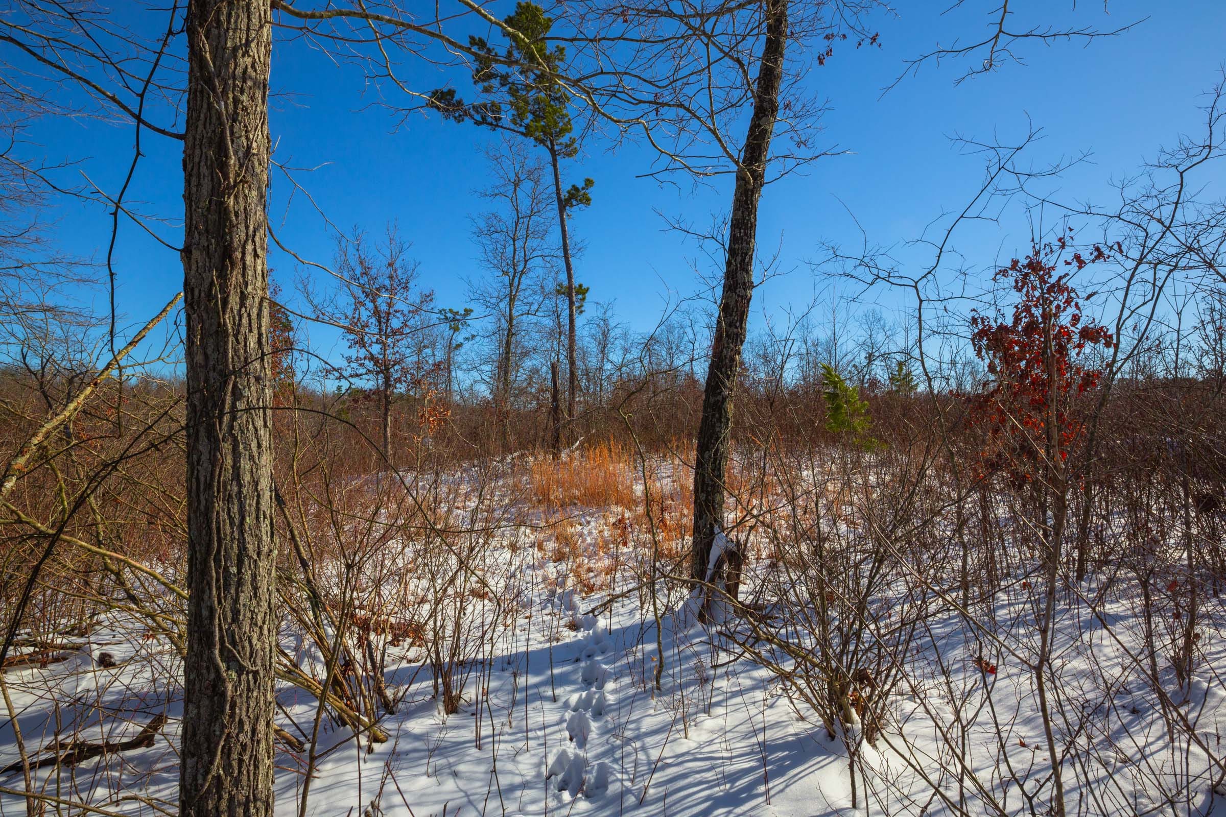 Sleepy Hollow Phase I Tract 19 photo 7