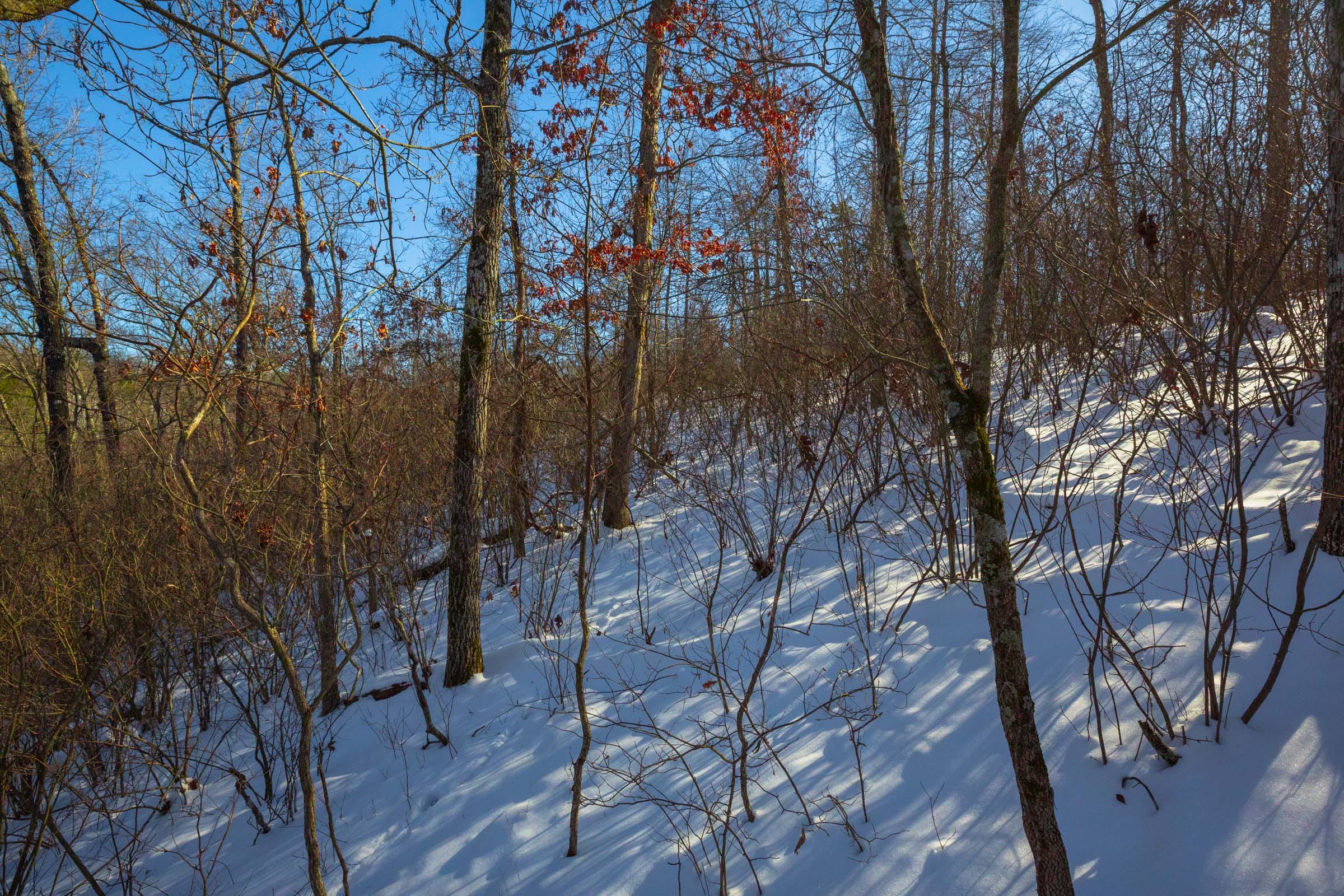 Sleepy Hollow Phase I Tract 19 photo 4