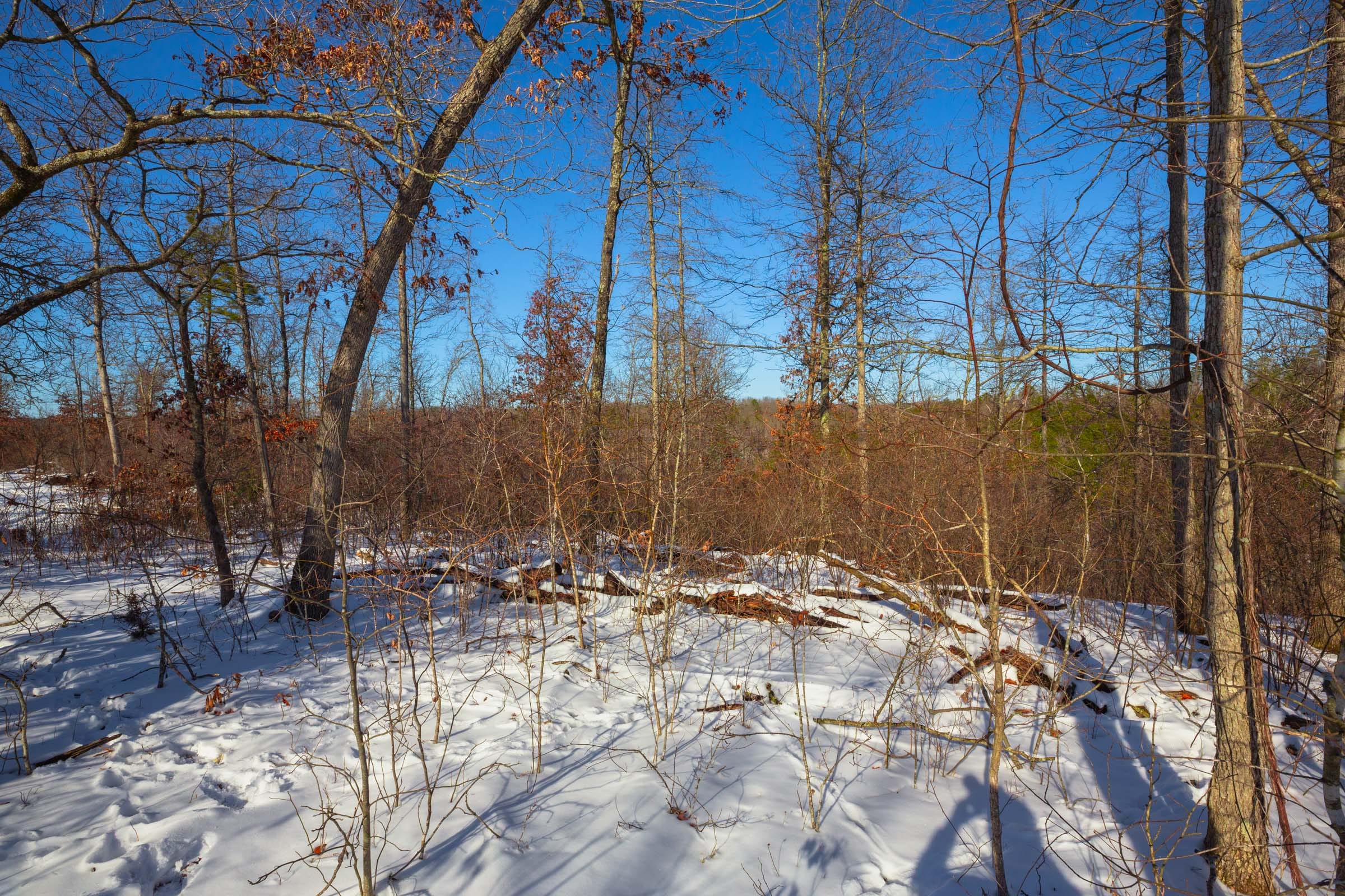 Sleepy Hollow Phase I Tract 19 photo 2