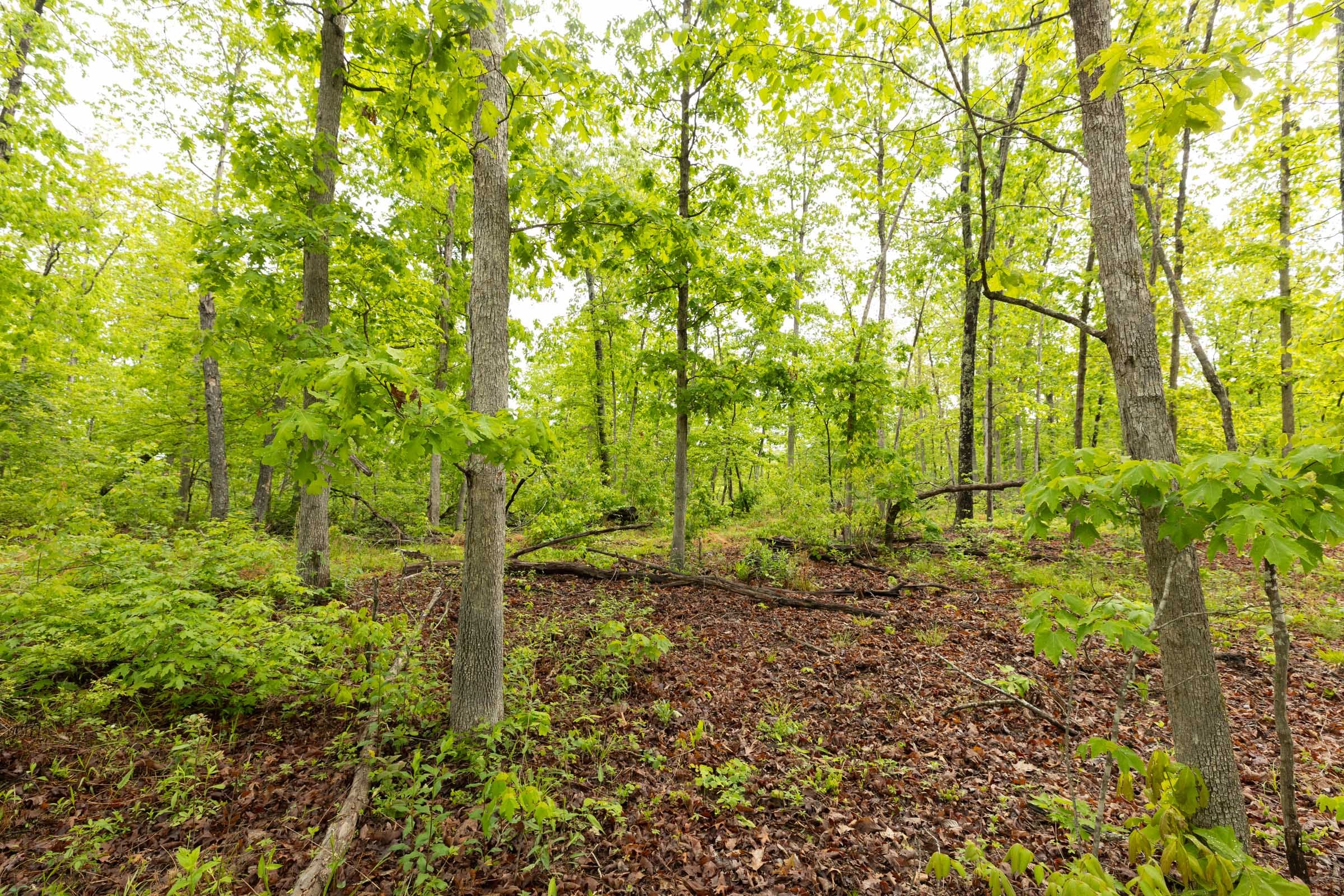 Stardust Estates Tract 36 photo 9