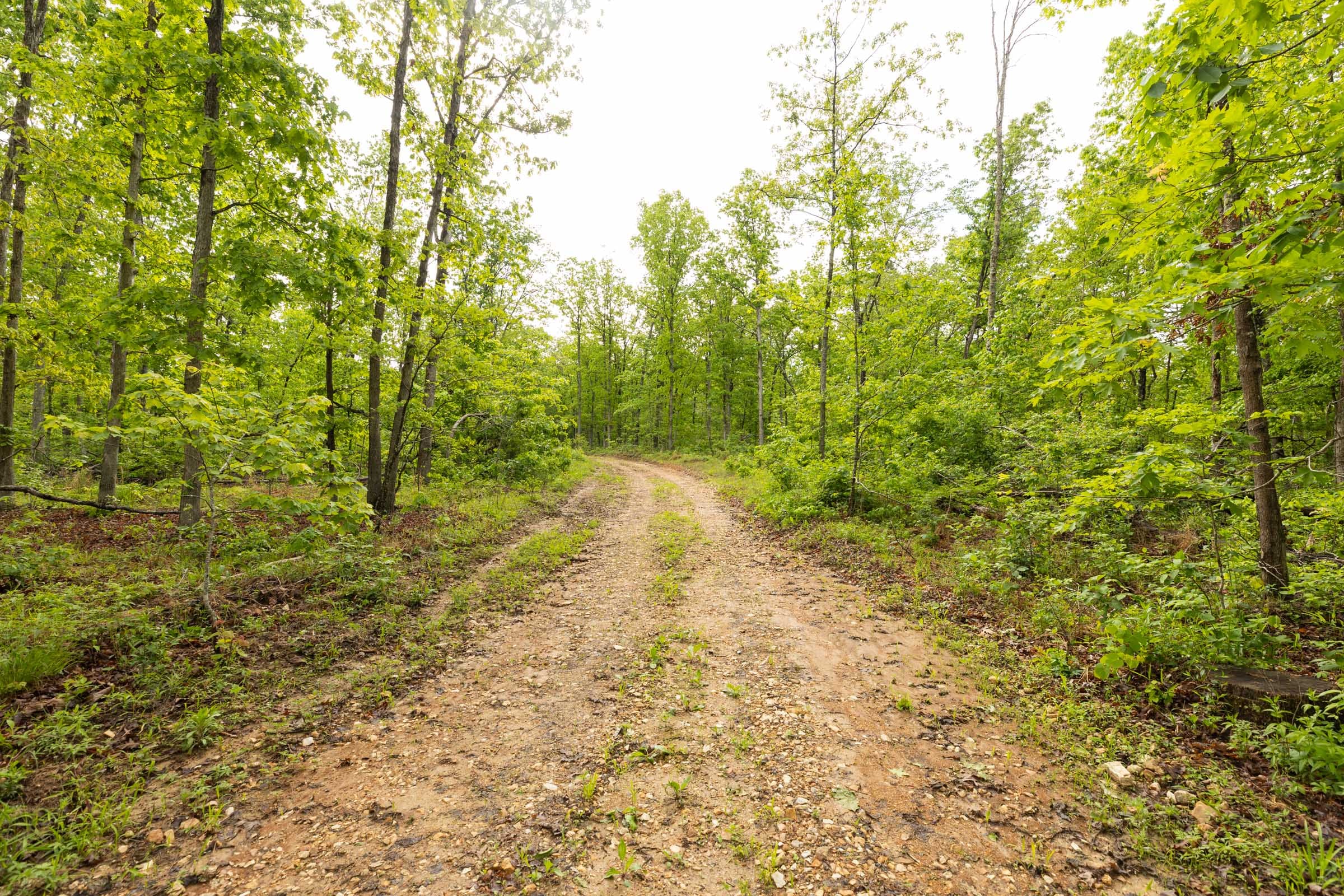 Stardust Estates Tract 36 photo 3