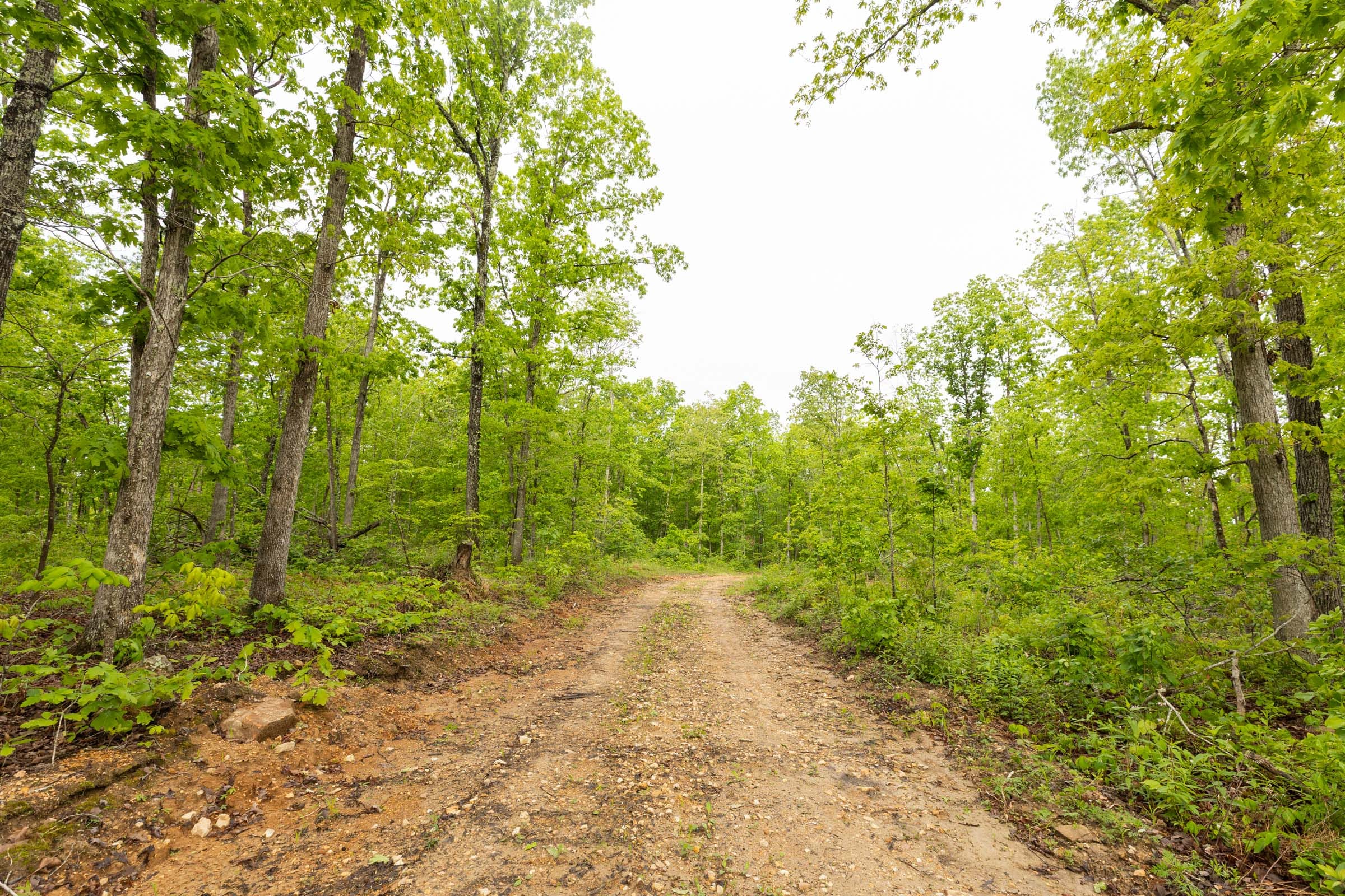 Stardust Estates Tract 36 photo 8