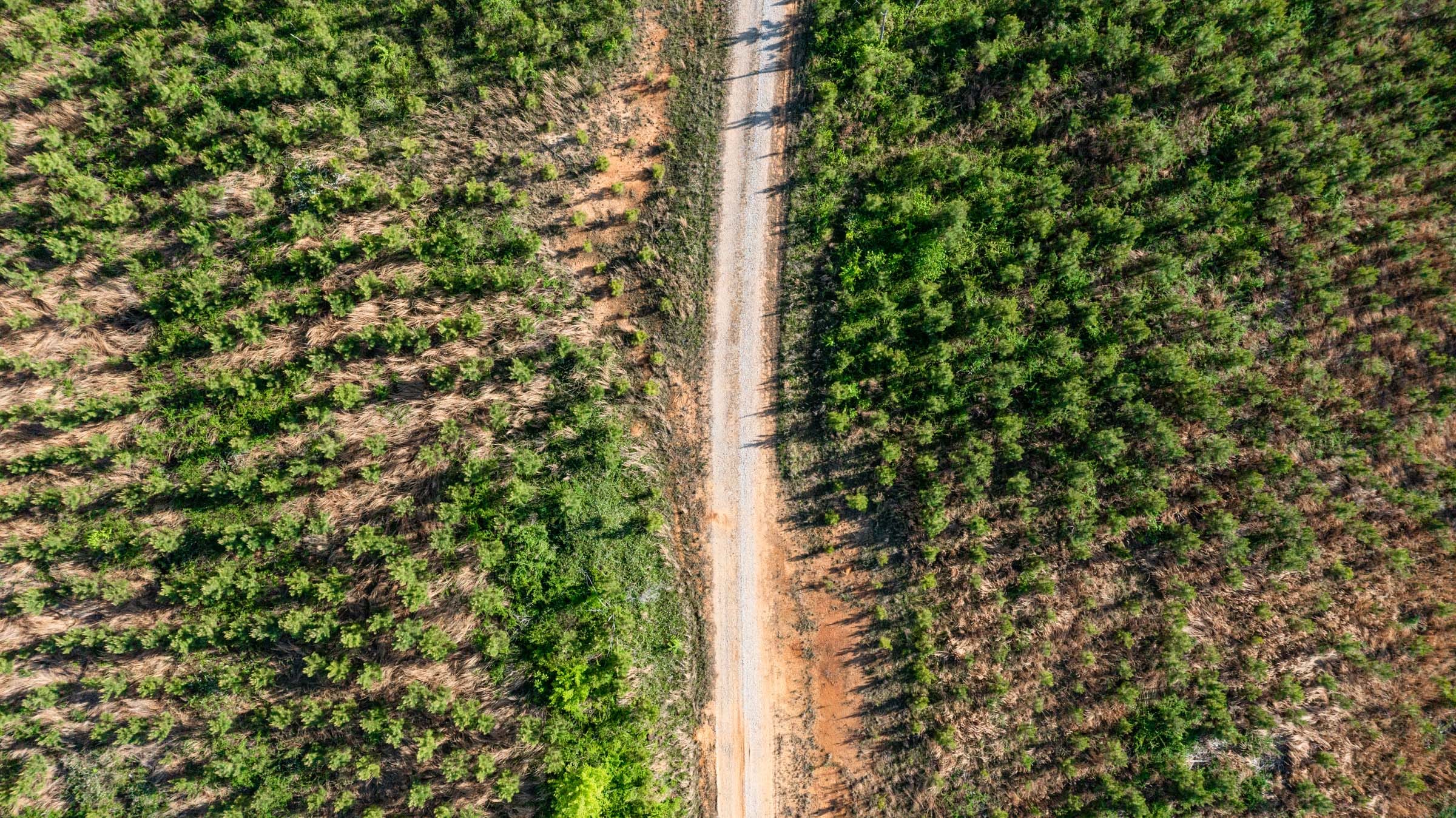 Clear Wood Tract 1 photo 2
