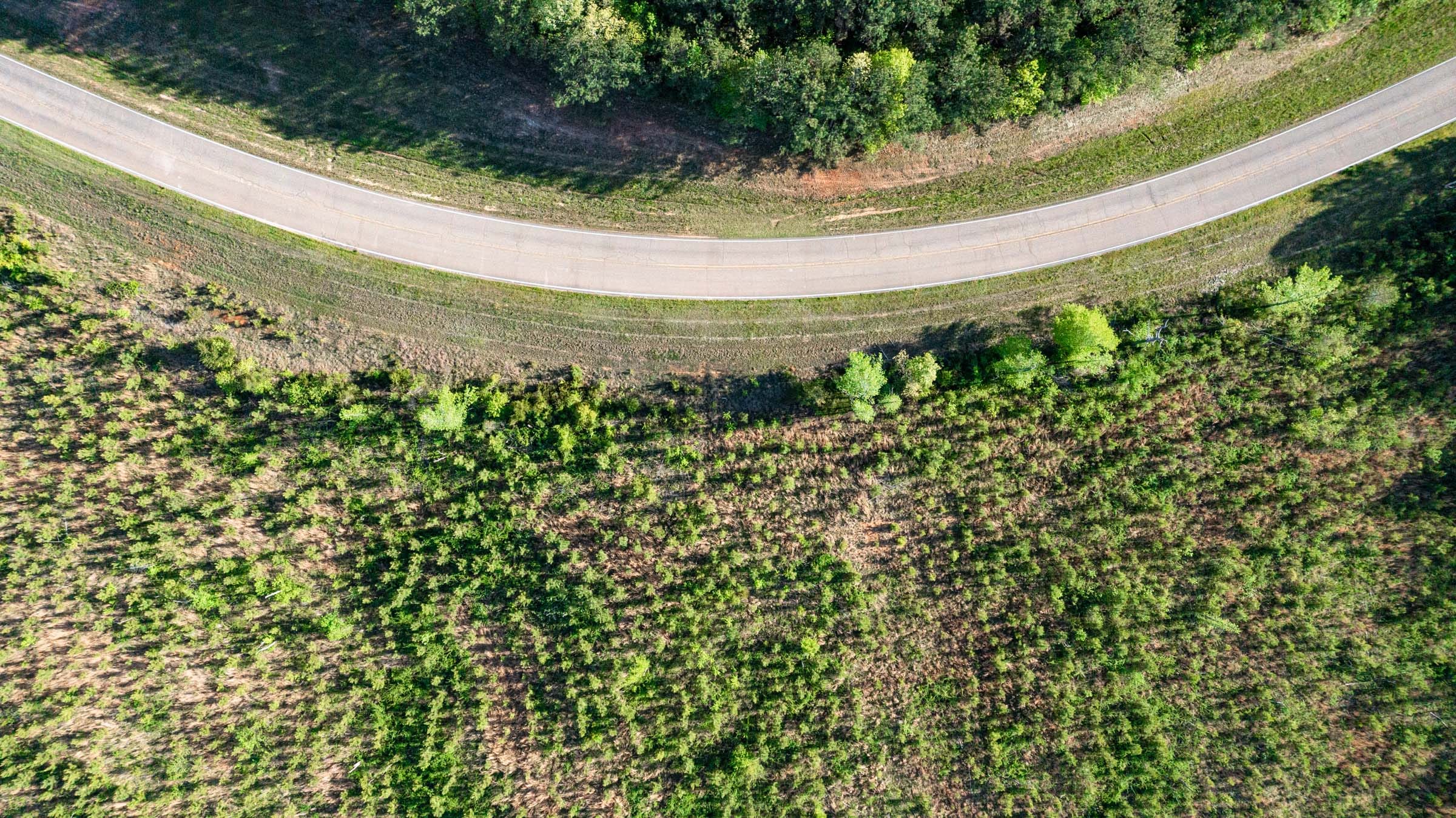 Clear Wood Tract 1 photo 3