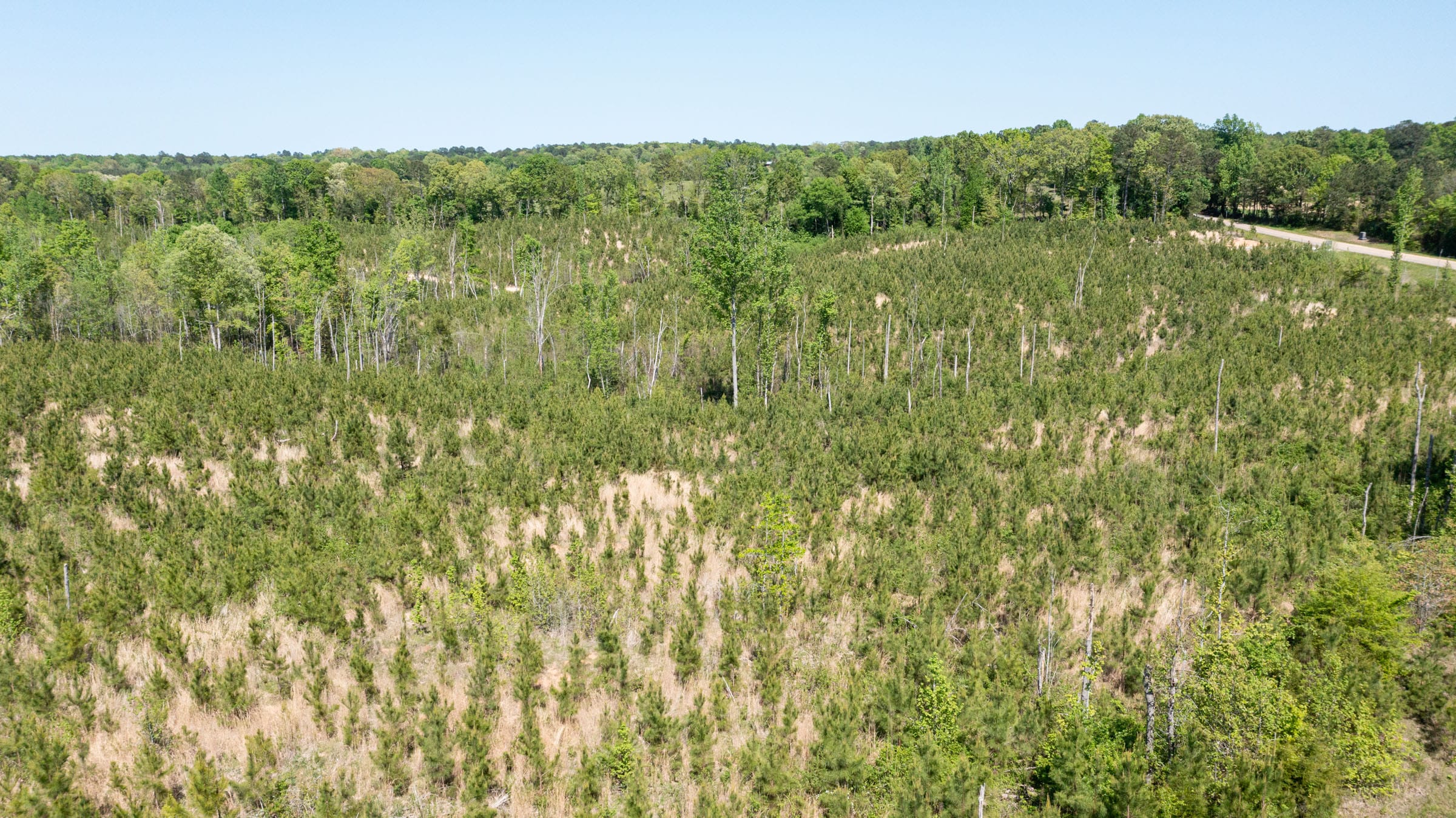 Clear Wood Tract 1 photo 5