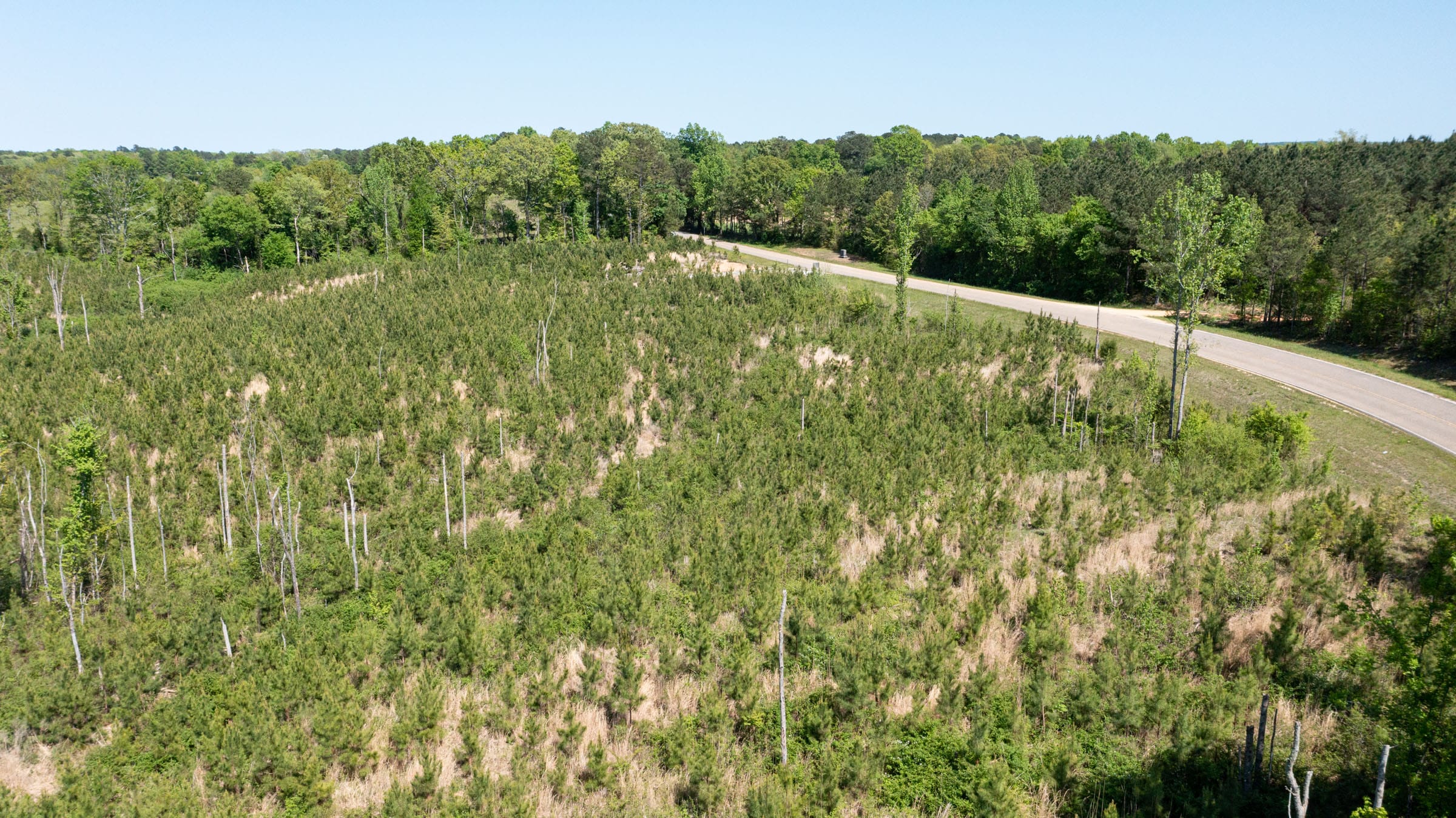 Clear Wood Tract 1 photo 6