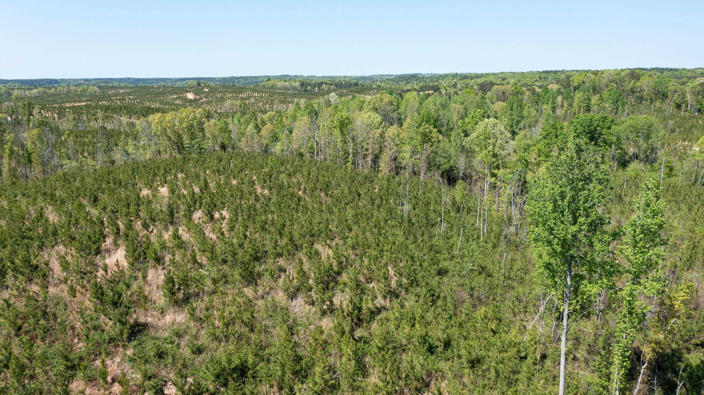 Clear Wood Tract 1 photo 7