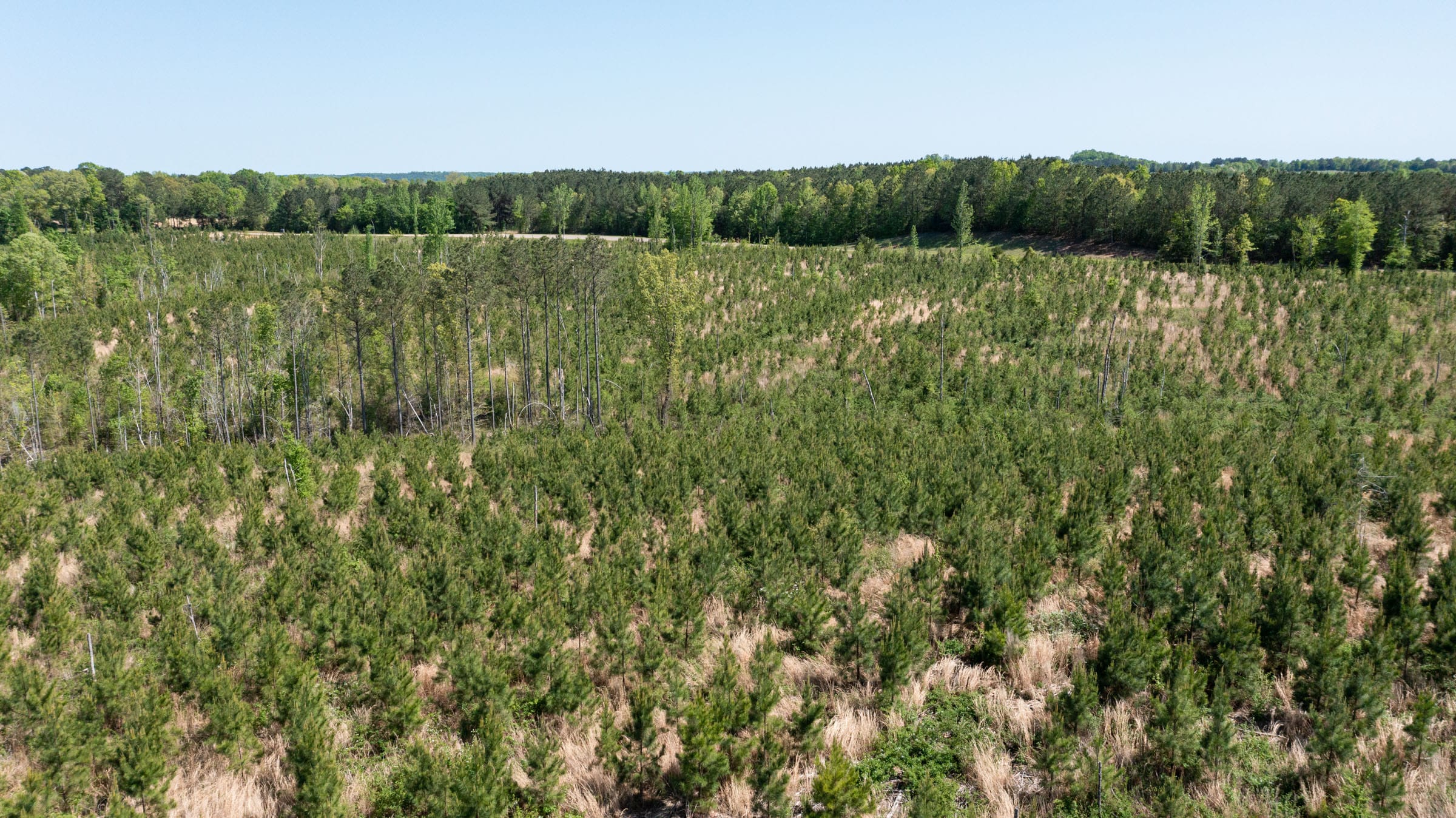 Clear Wood Tract 1 photo 8