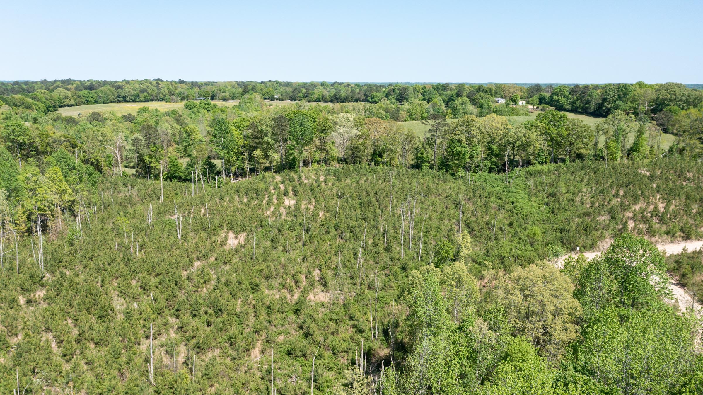 Clear Wood Tract 1 photo 9