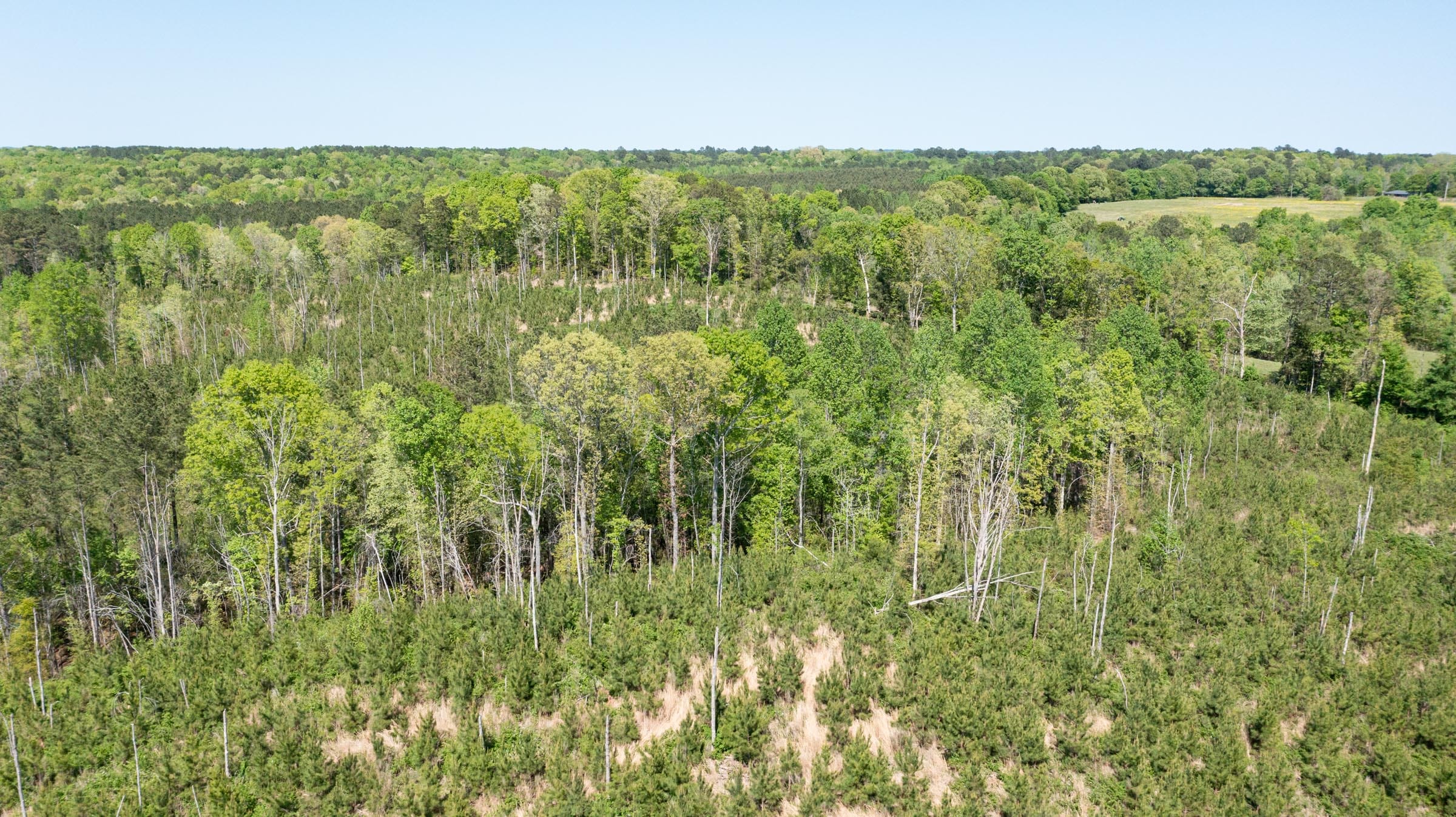 Clear Wood Tract 1 photo 10