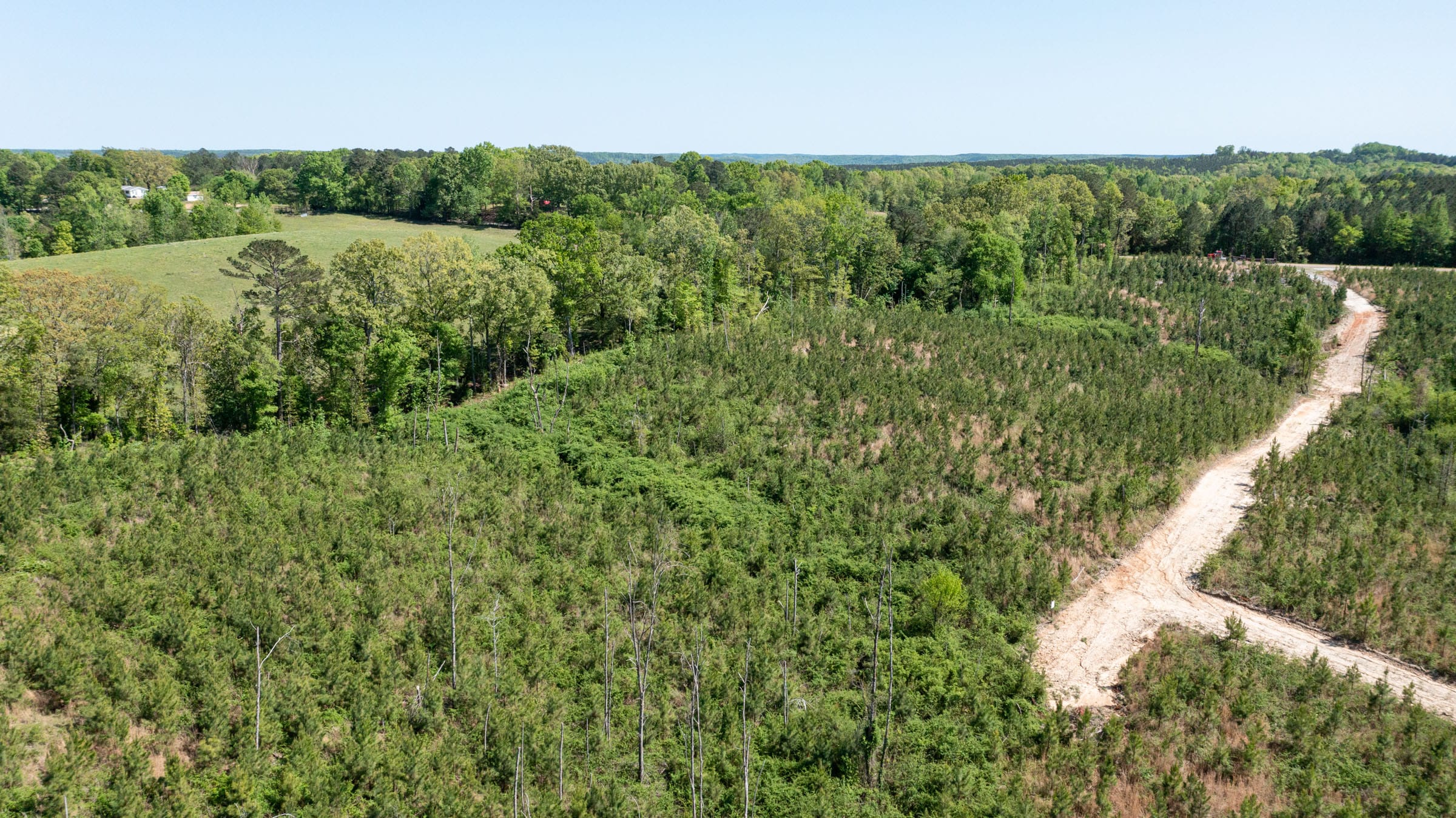 Clear Wood Tract 1 photo 11