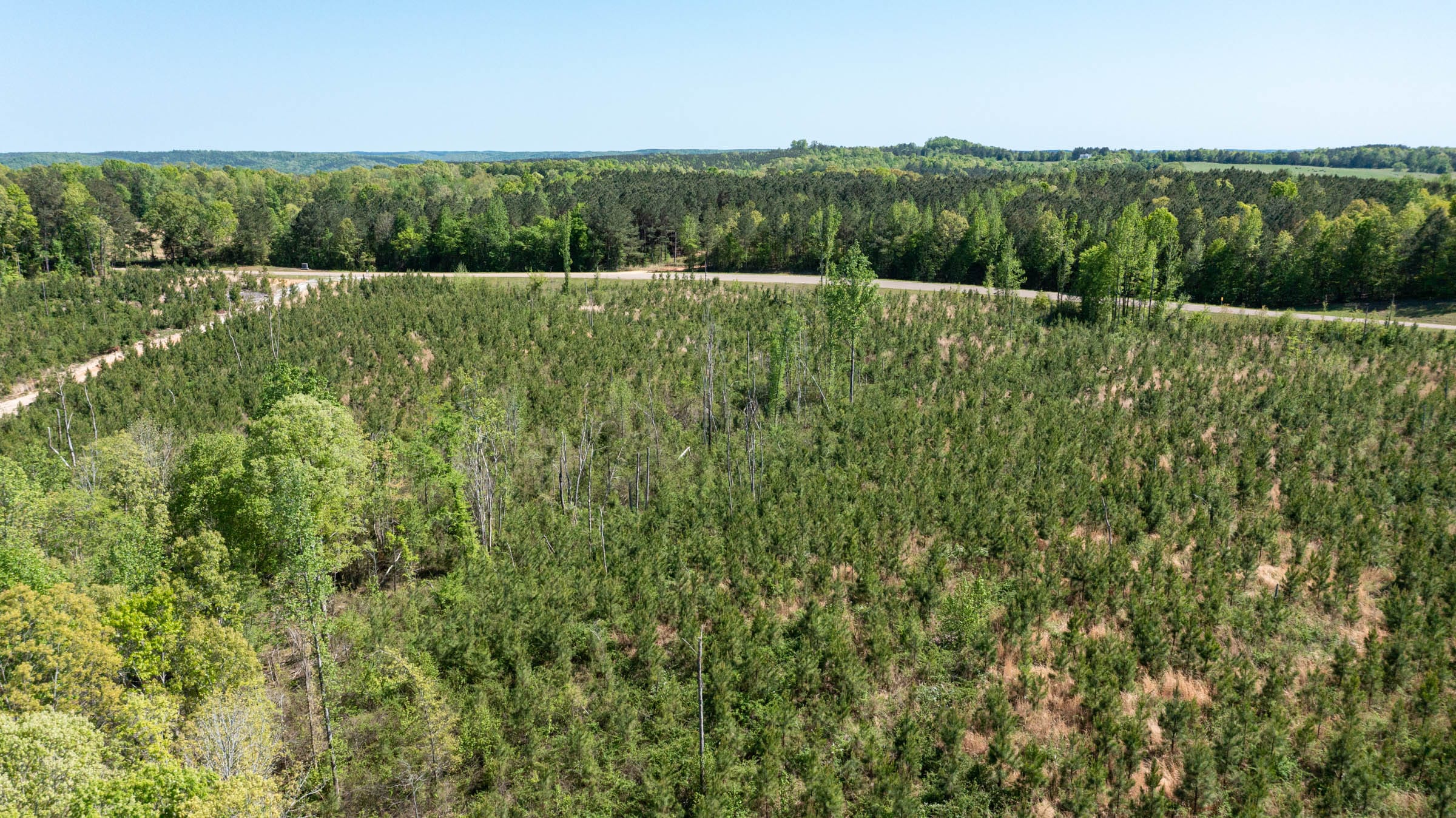 Clear Wood Tract 1 photo 12