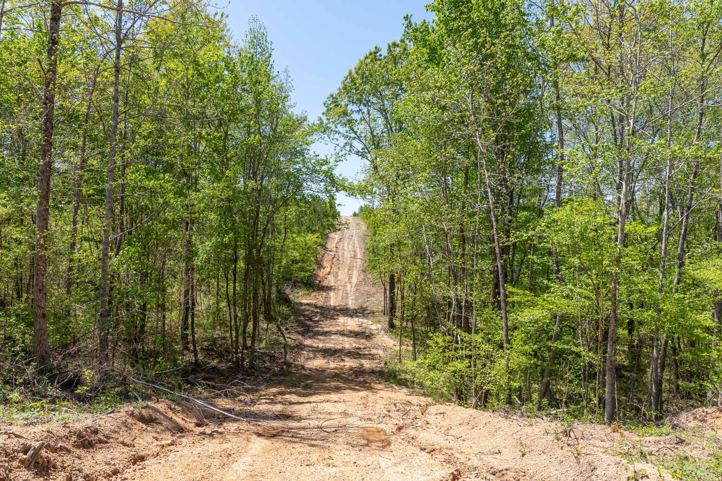 Clear Wood Tract 1 photo 15