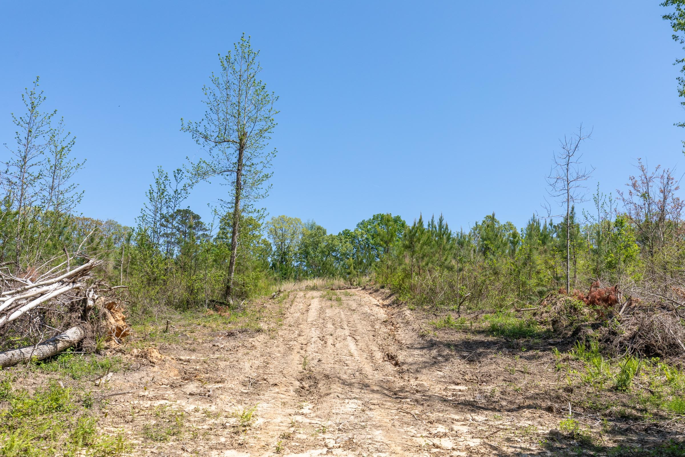 Clear Wood Tract 1 photo 18