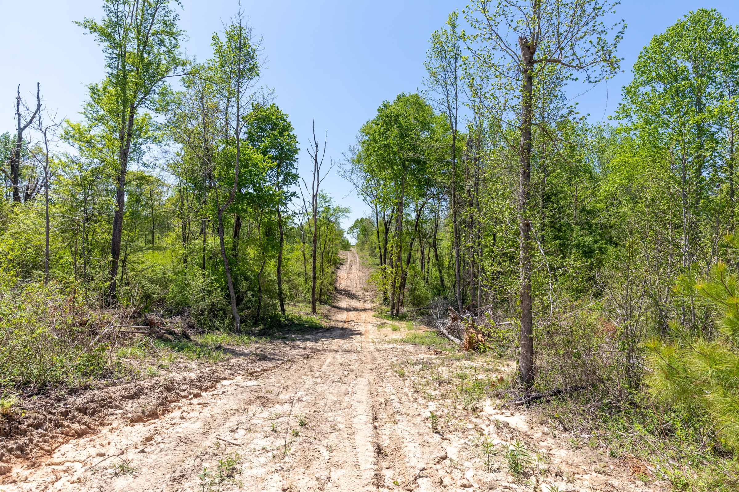 Clear Wood Tract 1 photo 23