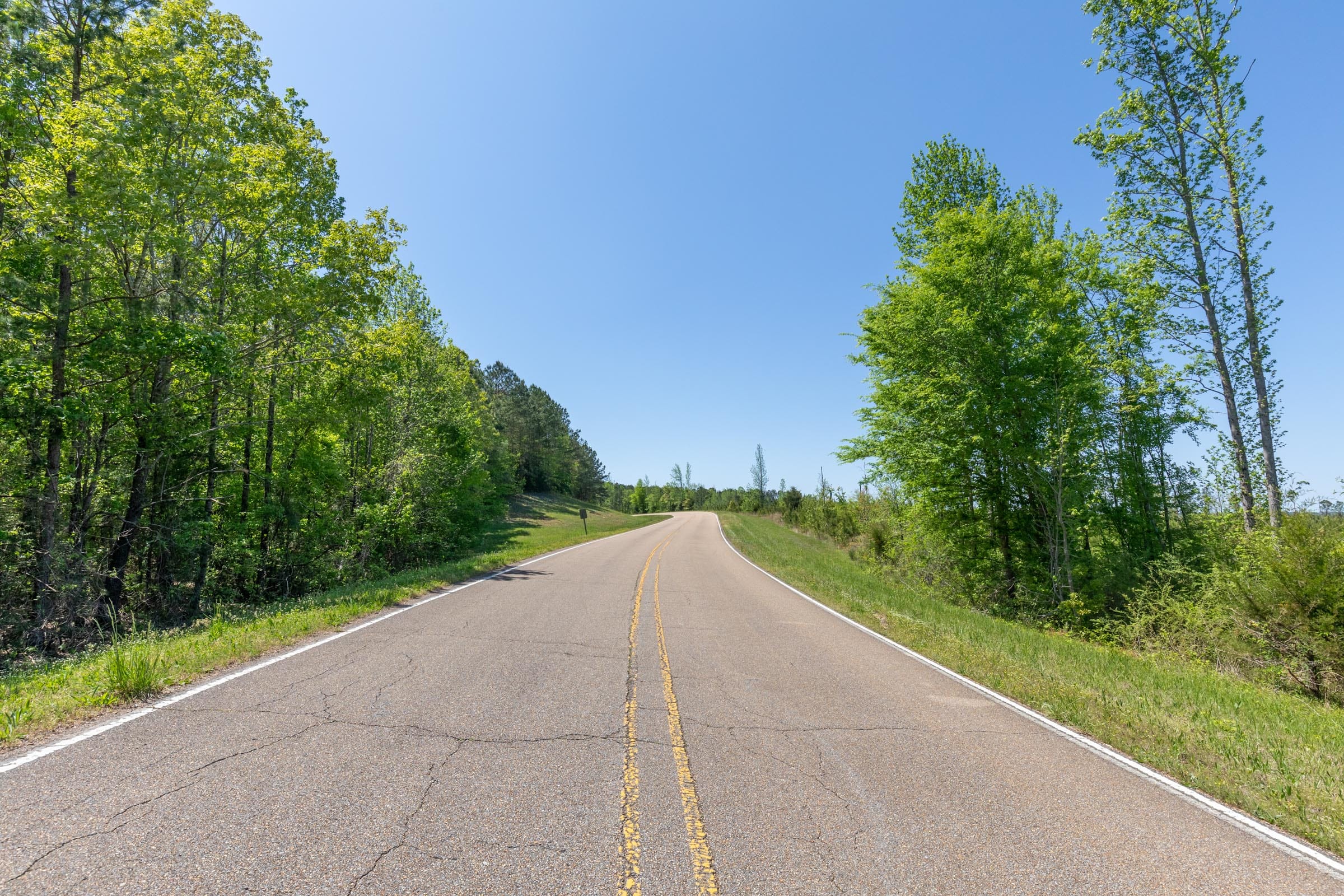 Clear Wood Tract 1 photo 30