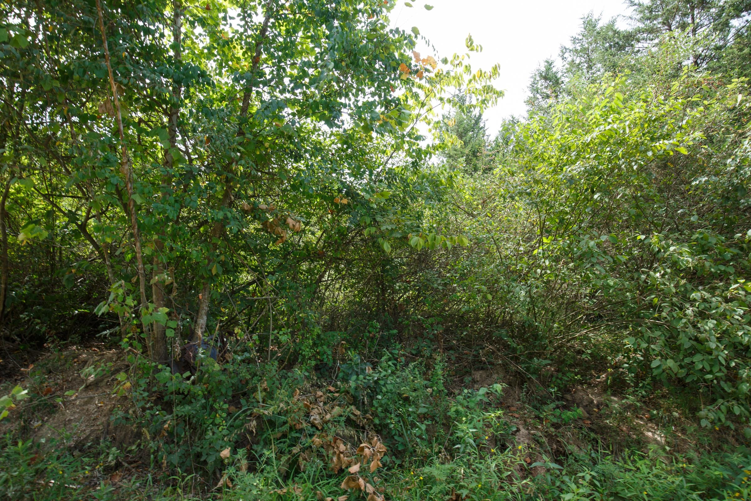 Spring Lake Plat 6 Tract 63 photo 2