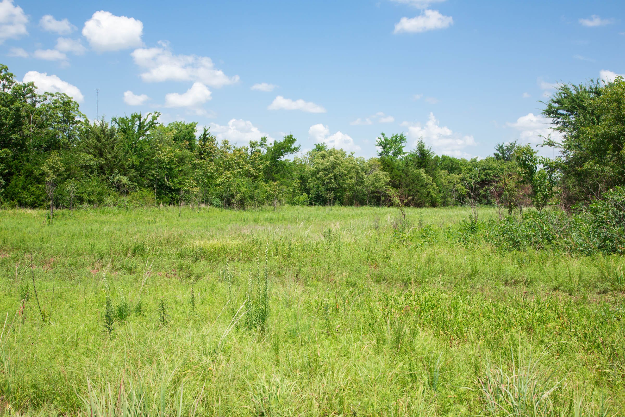 Deep Fork Ranch Tract 3 photo 1