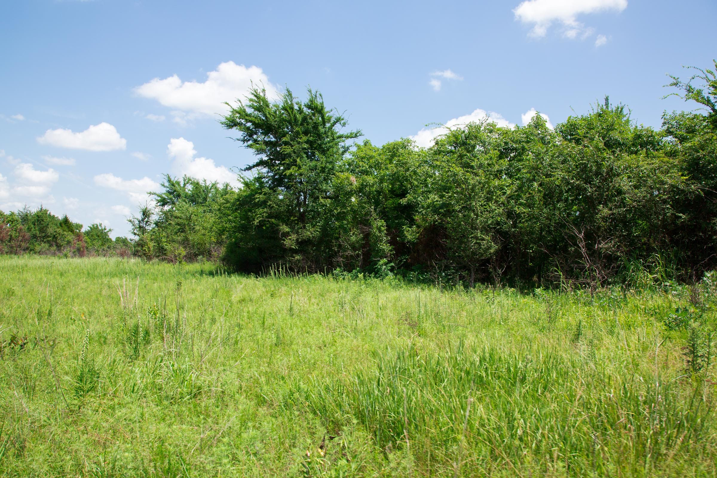 Deep Fork Ranch Tract 3 photo 4