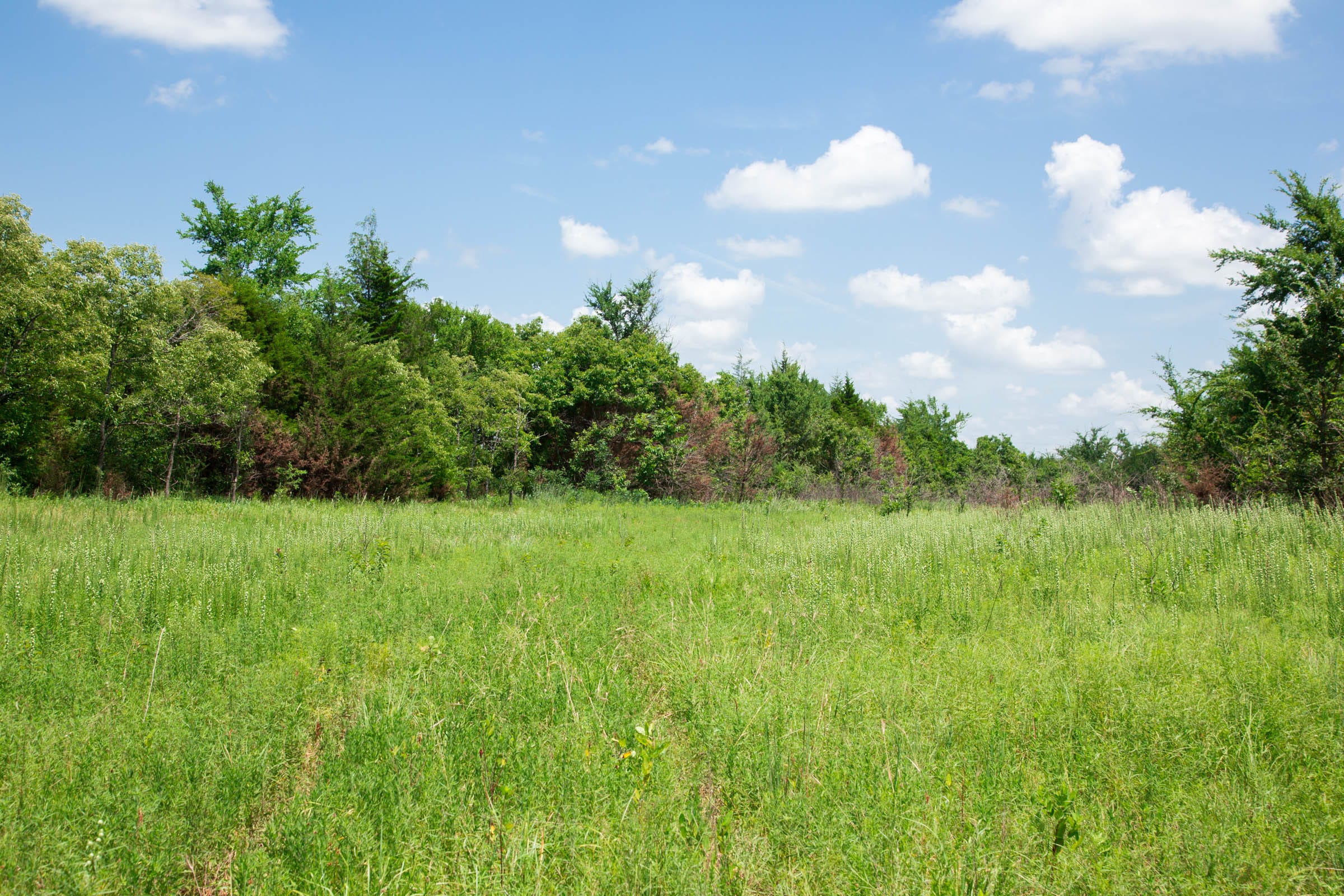 Deep Fork Ranch Tract 3 photo 5