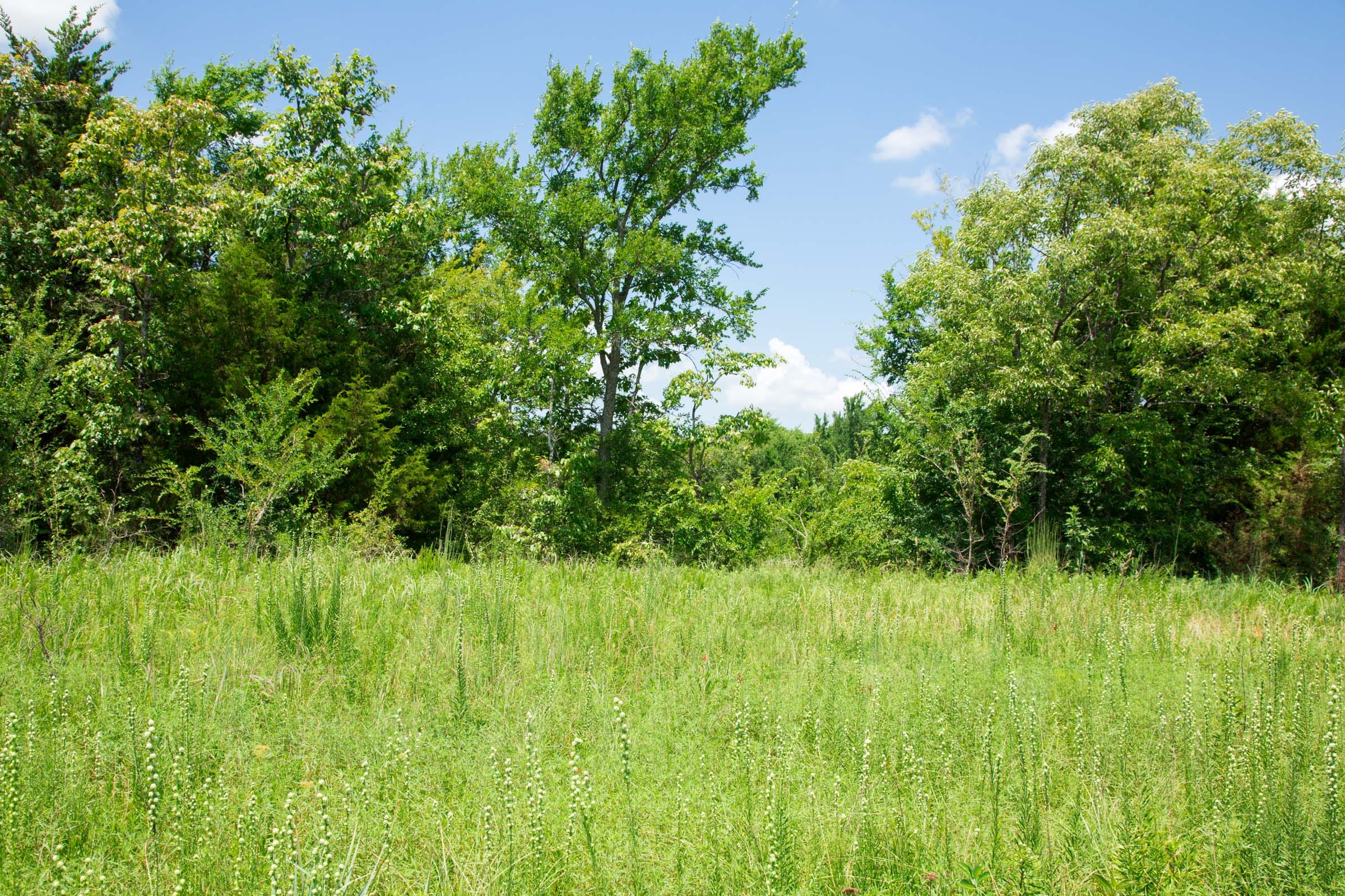 Deep Fork Ranch Tract 3 photo 6