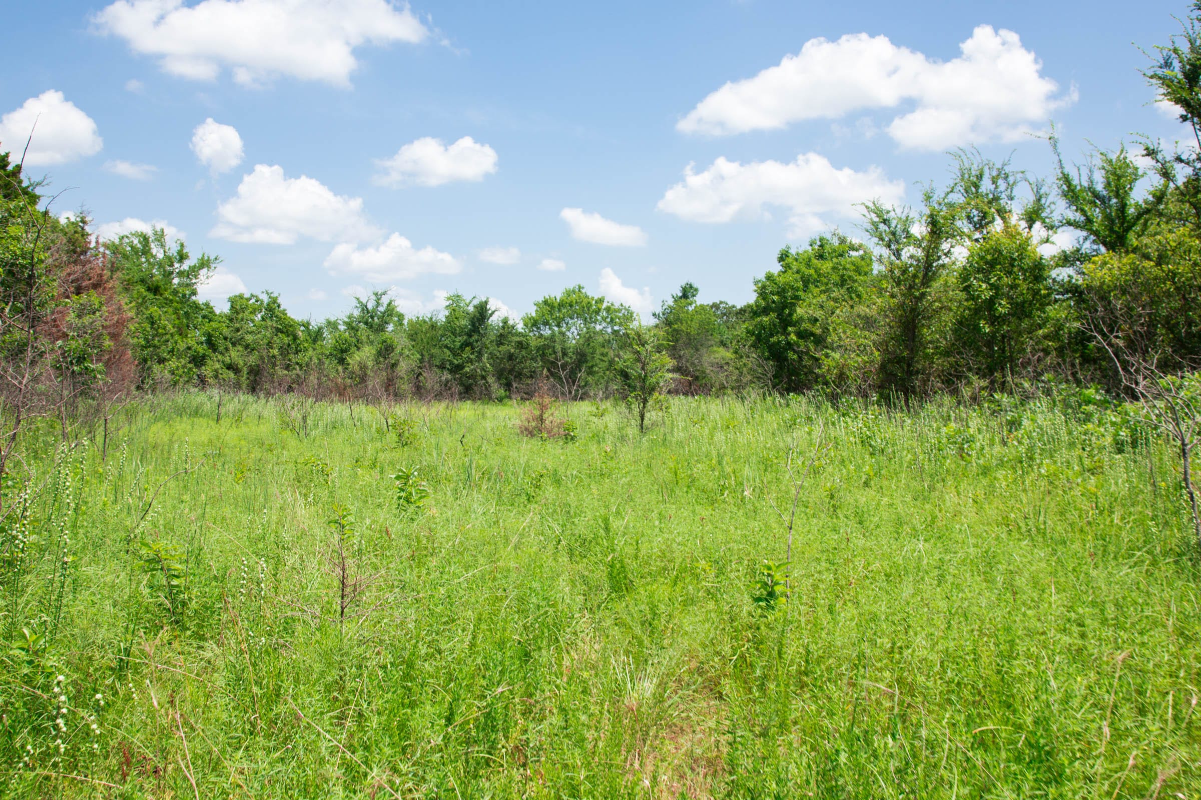 Deep Fork Ranch Tract 3 photo 8