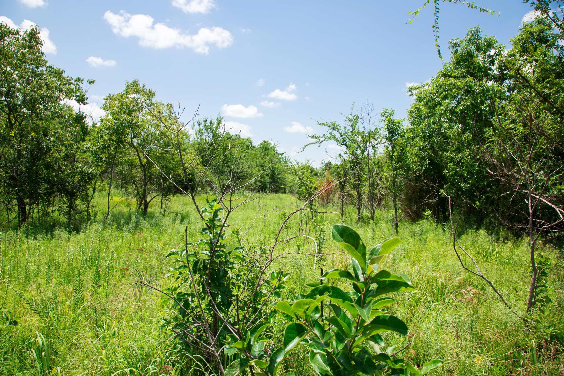 Deep Fork Ranch Tract 3 photo 10