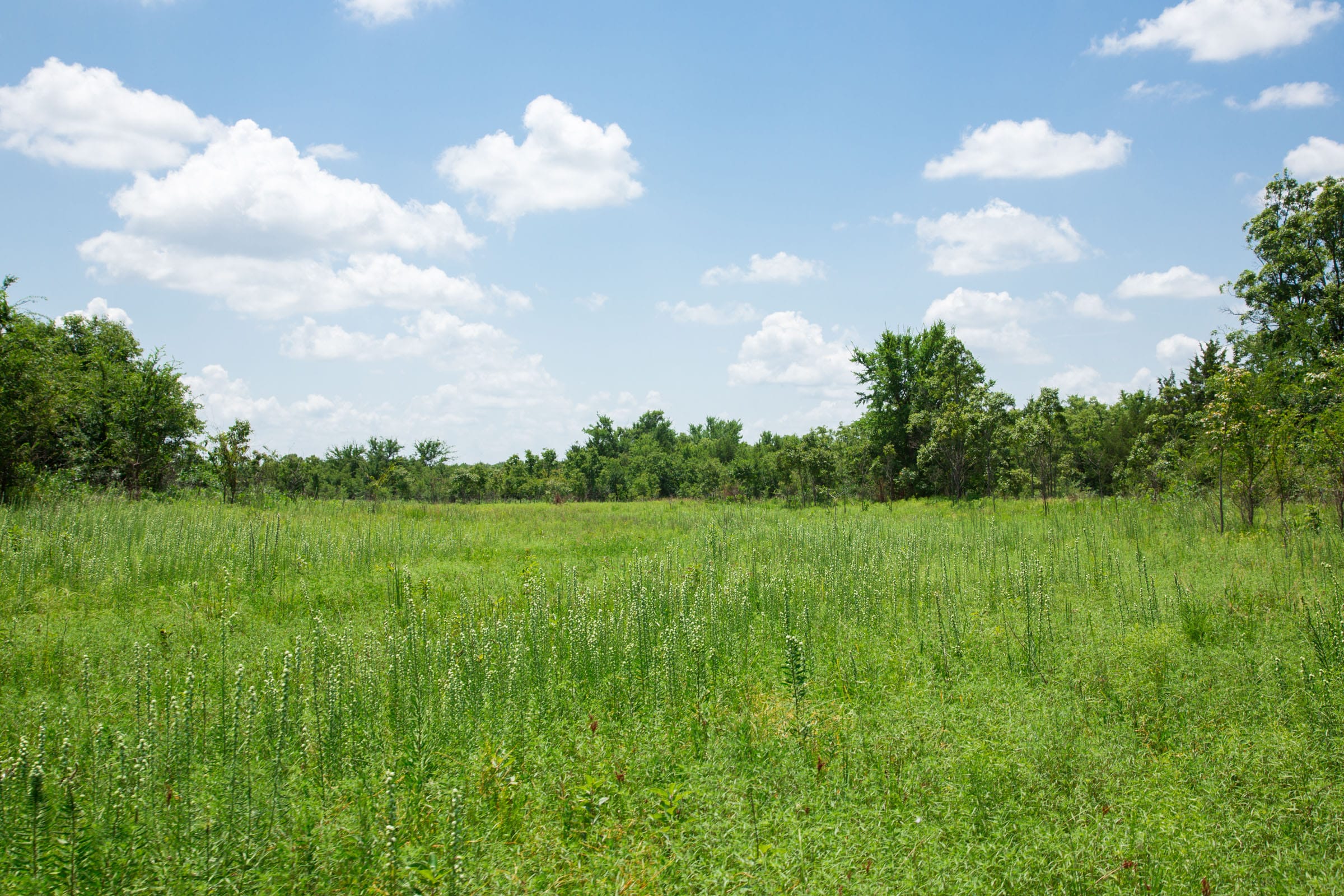 Deep Fork Ranch Tract 3 photo 12