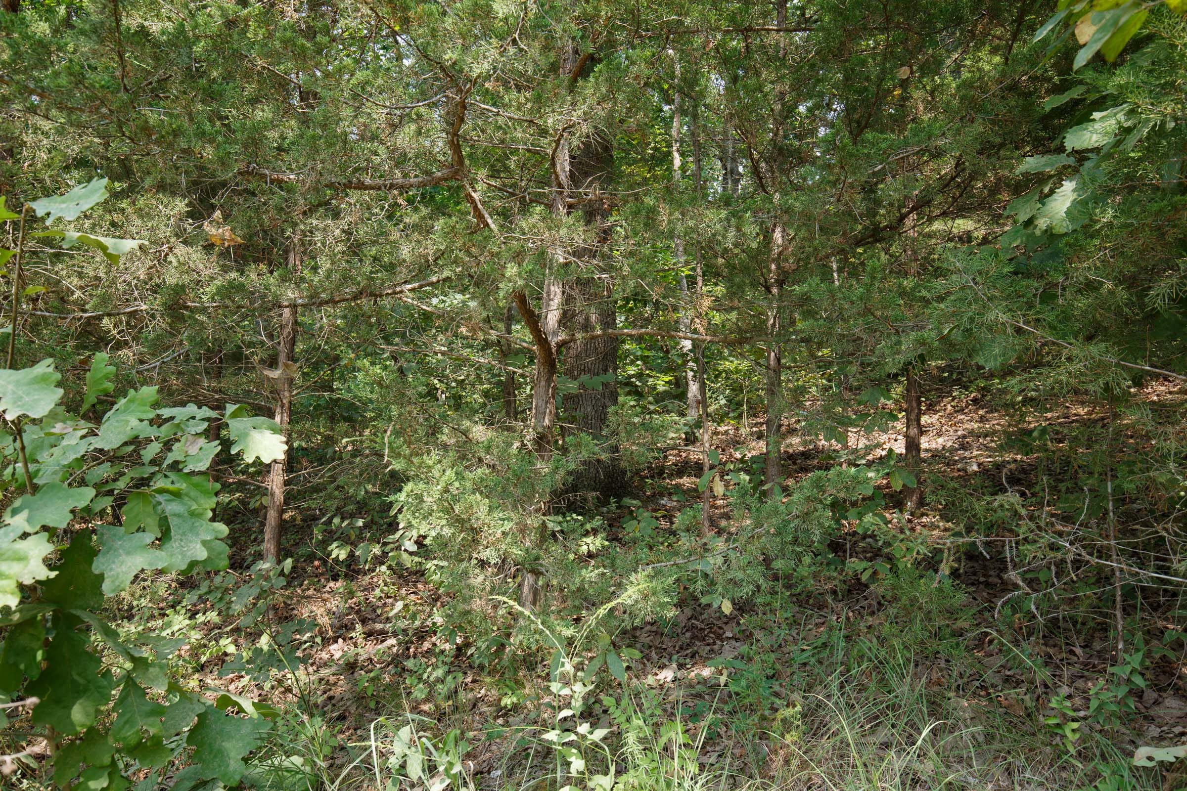 Spring Lake Plat 6 Tract 130 photo 2