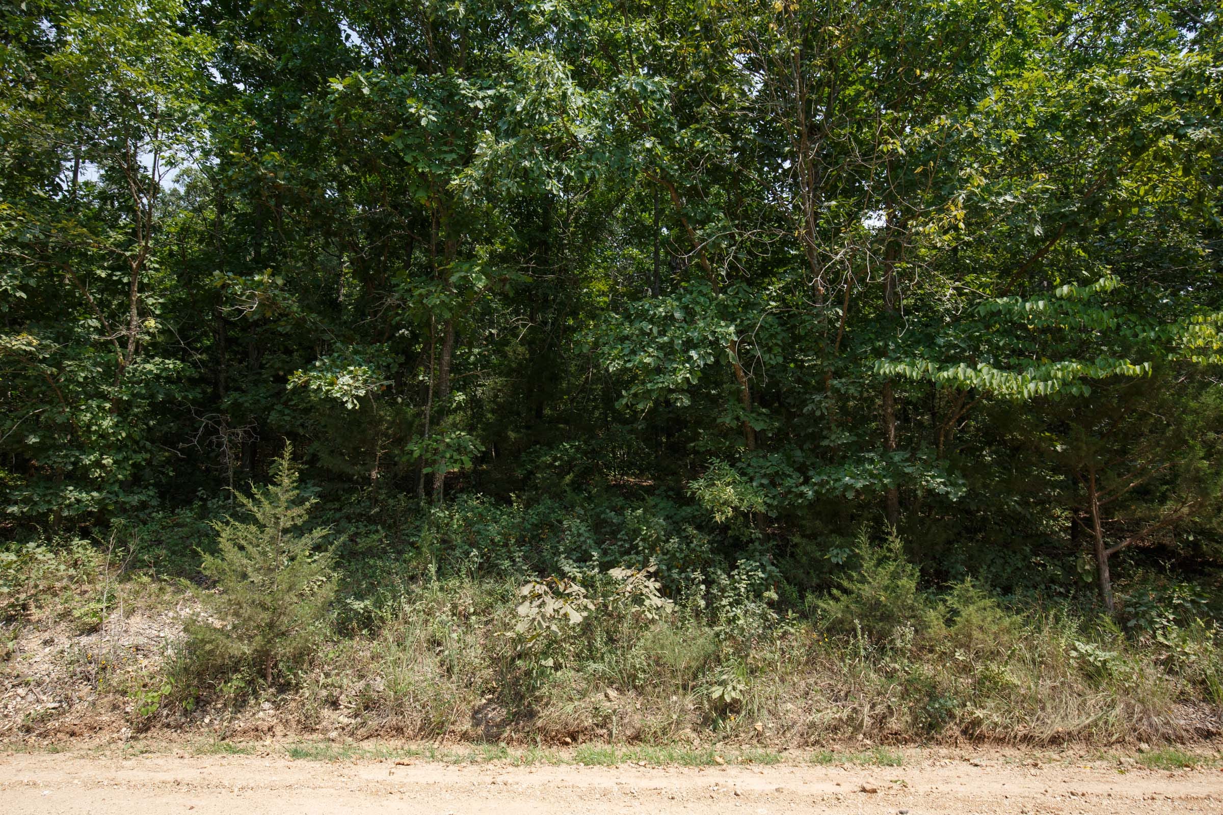 Spring Lake Plat 6 Tract 130 photo 5