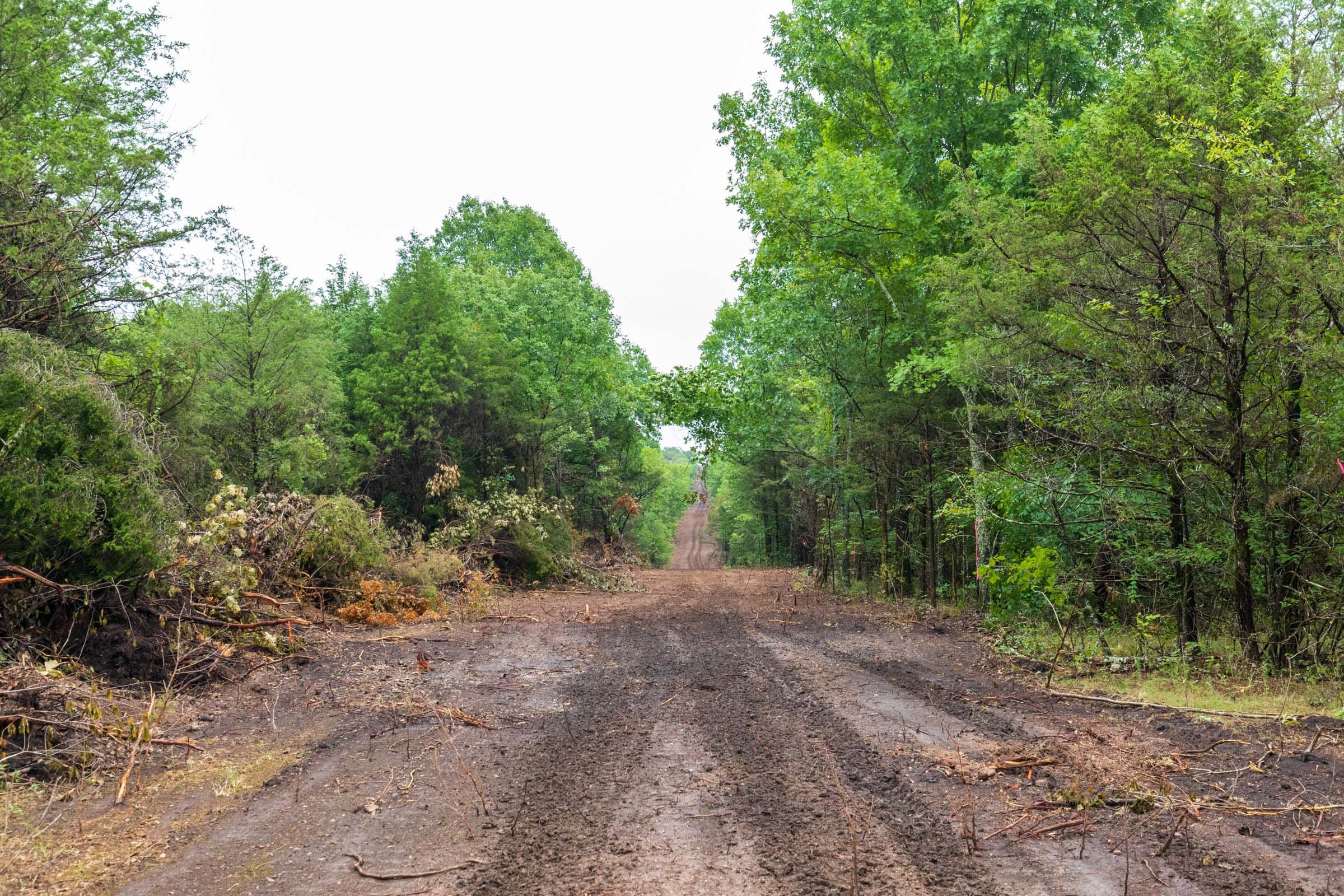 Heritage Bend Tract 42 photo 1