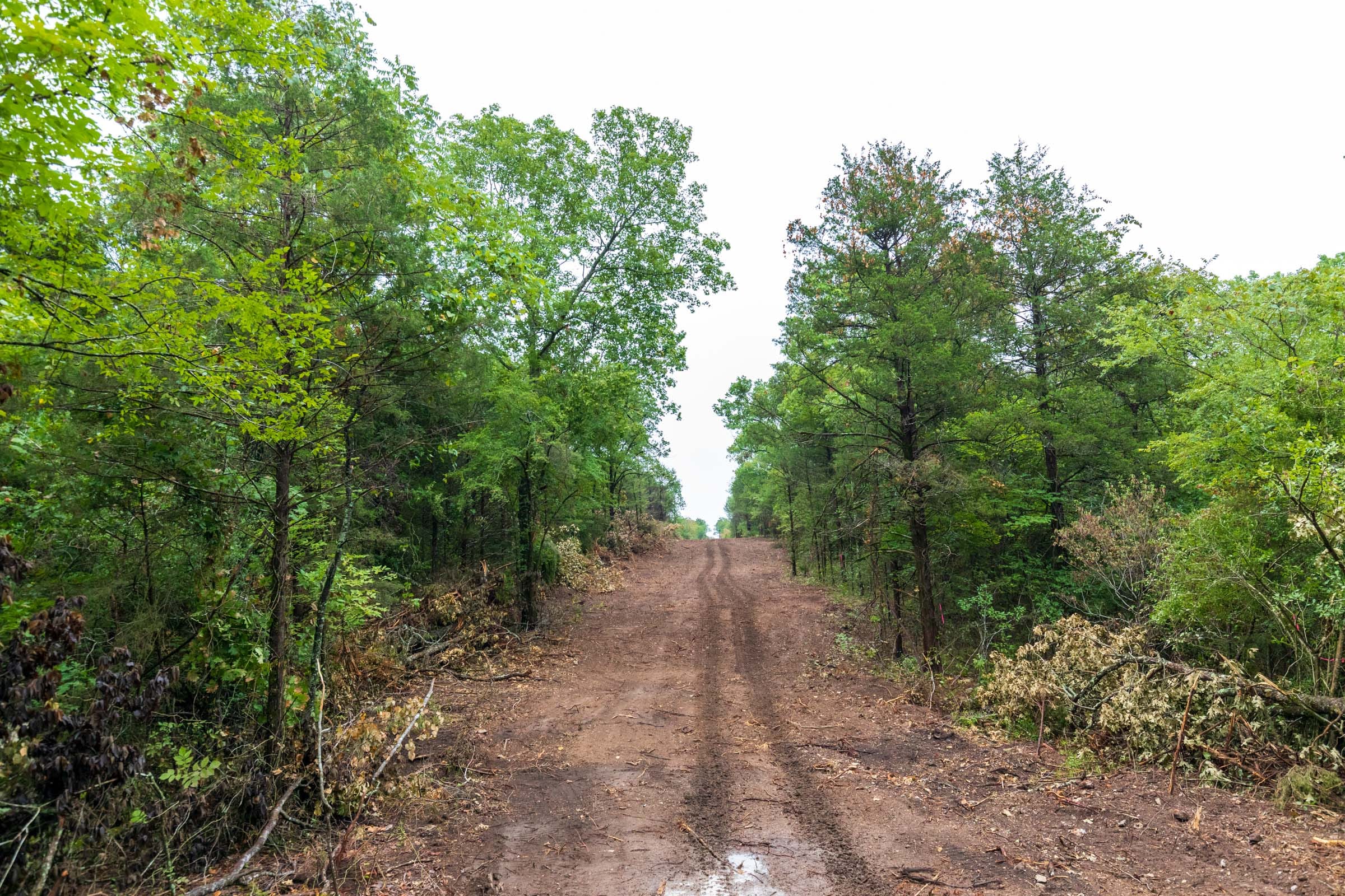 Heritage Bend Tract 42 photo 4