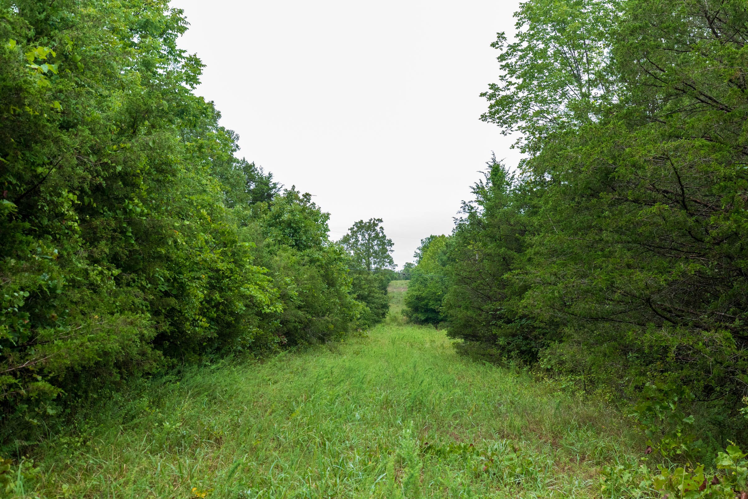 Heritage Bend Tract 42 photo 3