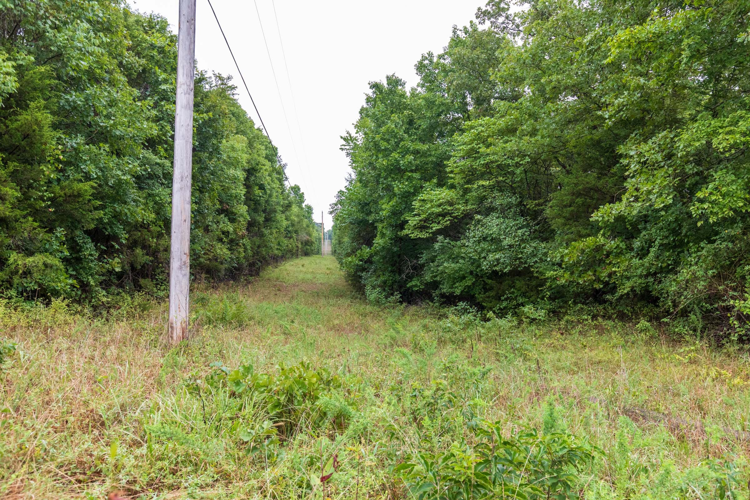 Heritage Bend Tract 42 photo 2