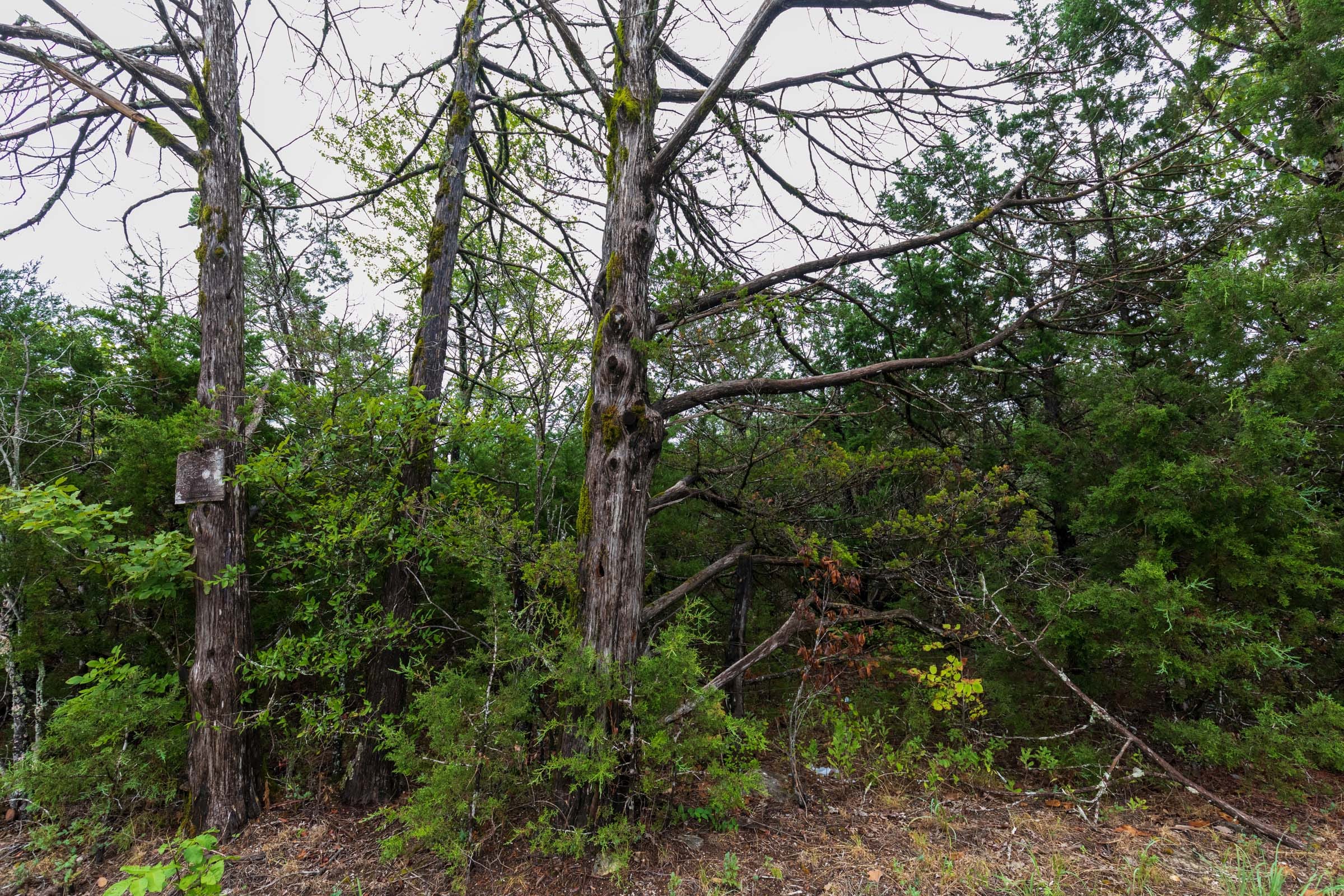 Heritage Bend Tract 42 photo 8